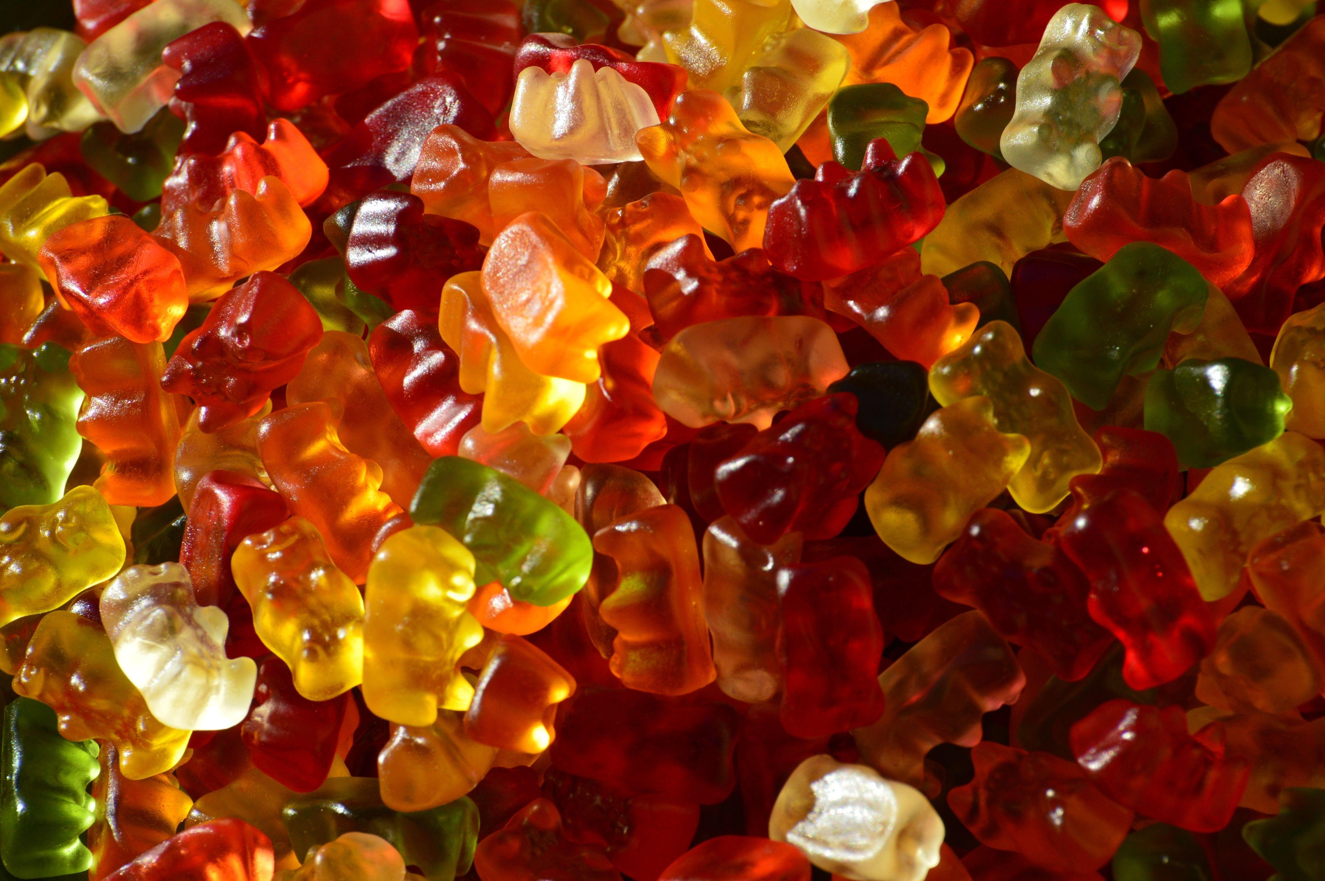 bear jelly candies free image