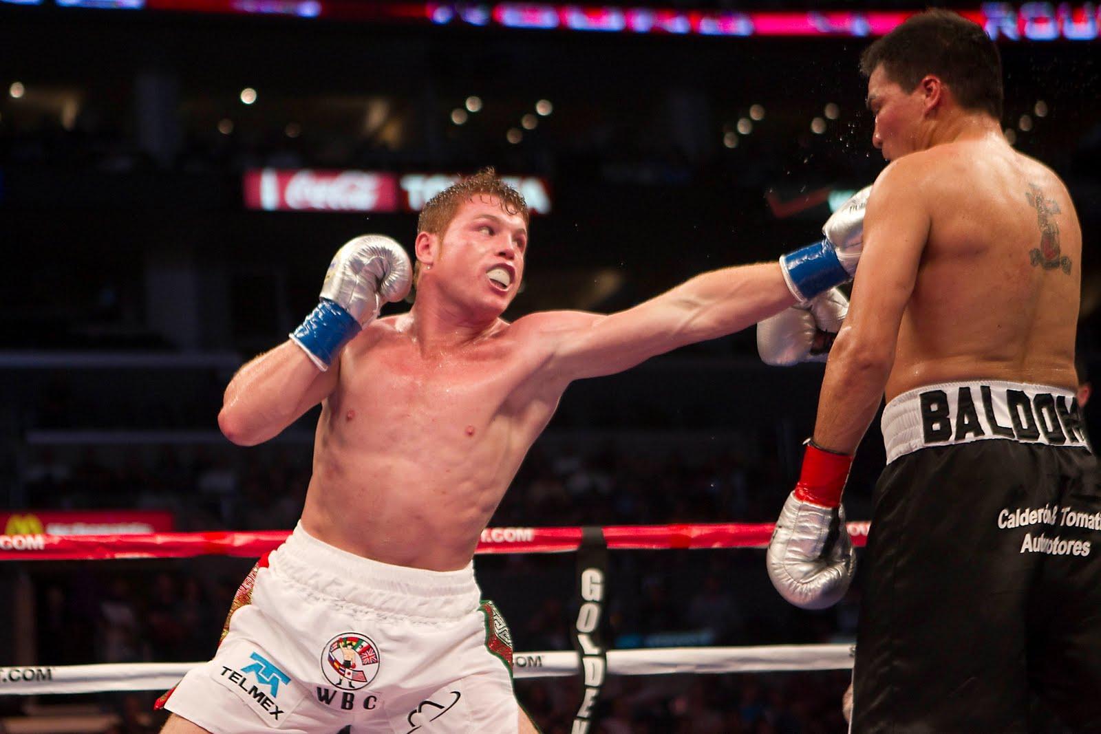 Canelo Alvarez Wallpapers APK for Android Download