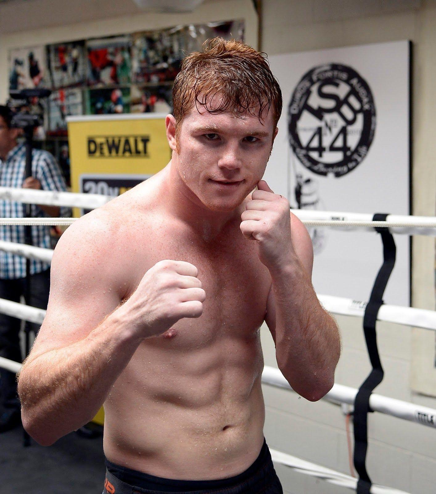 saul canelo alvarez wallpaper Wallppapers Gallery