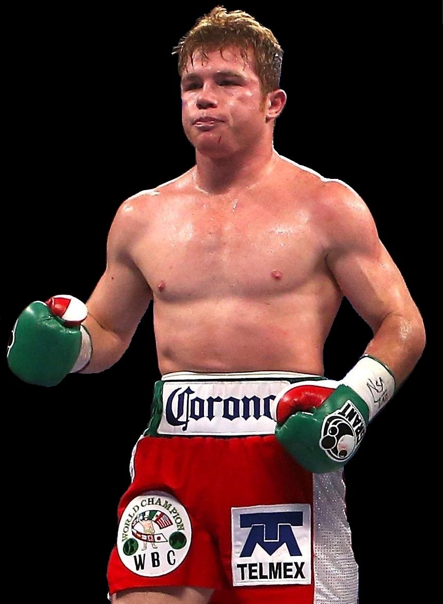 saul canelo alvarez. CANELO. Saul canelo alvarez