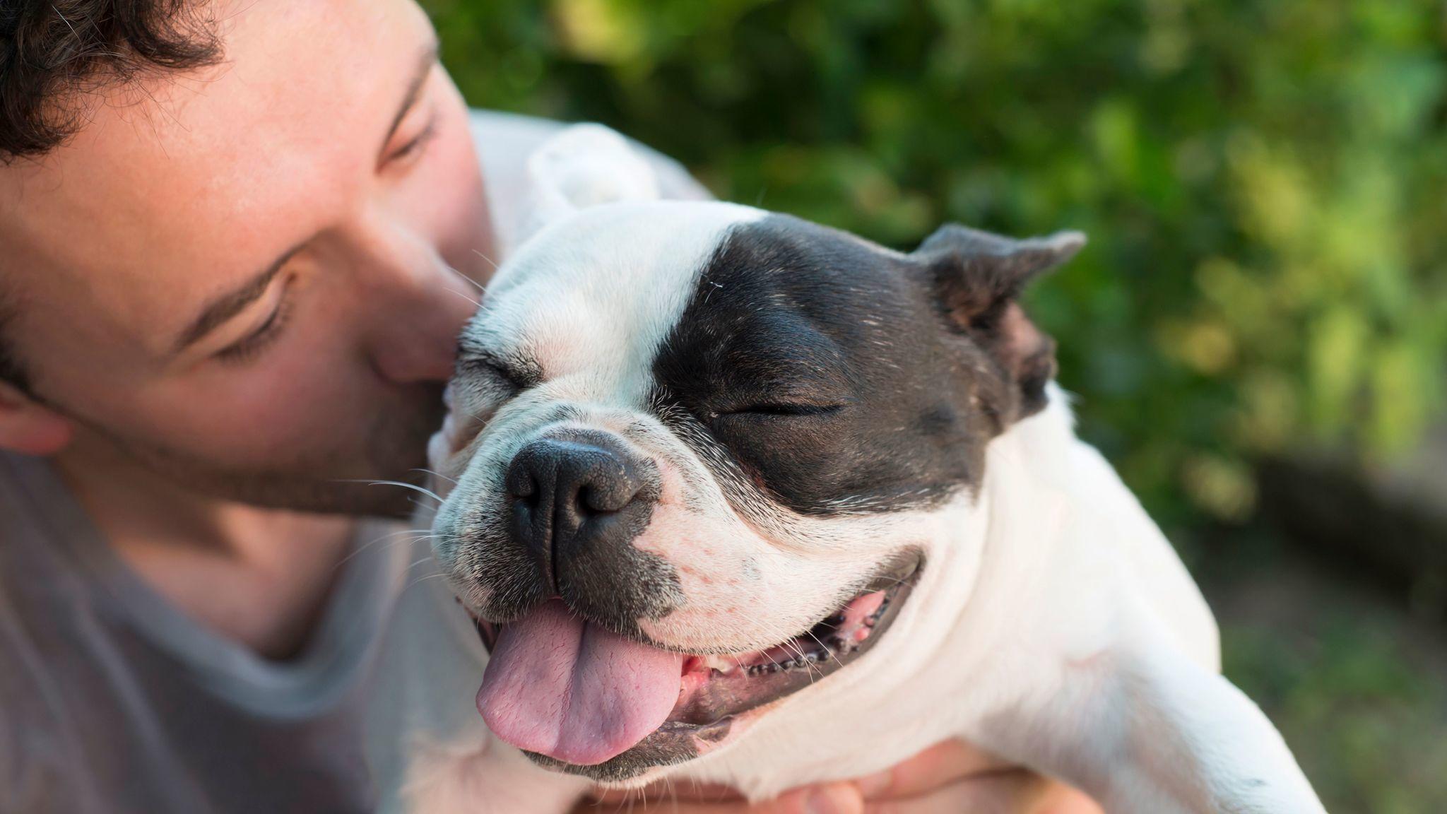 Survey shows love for dogs makes you more attractive