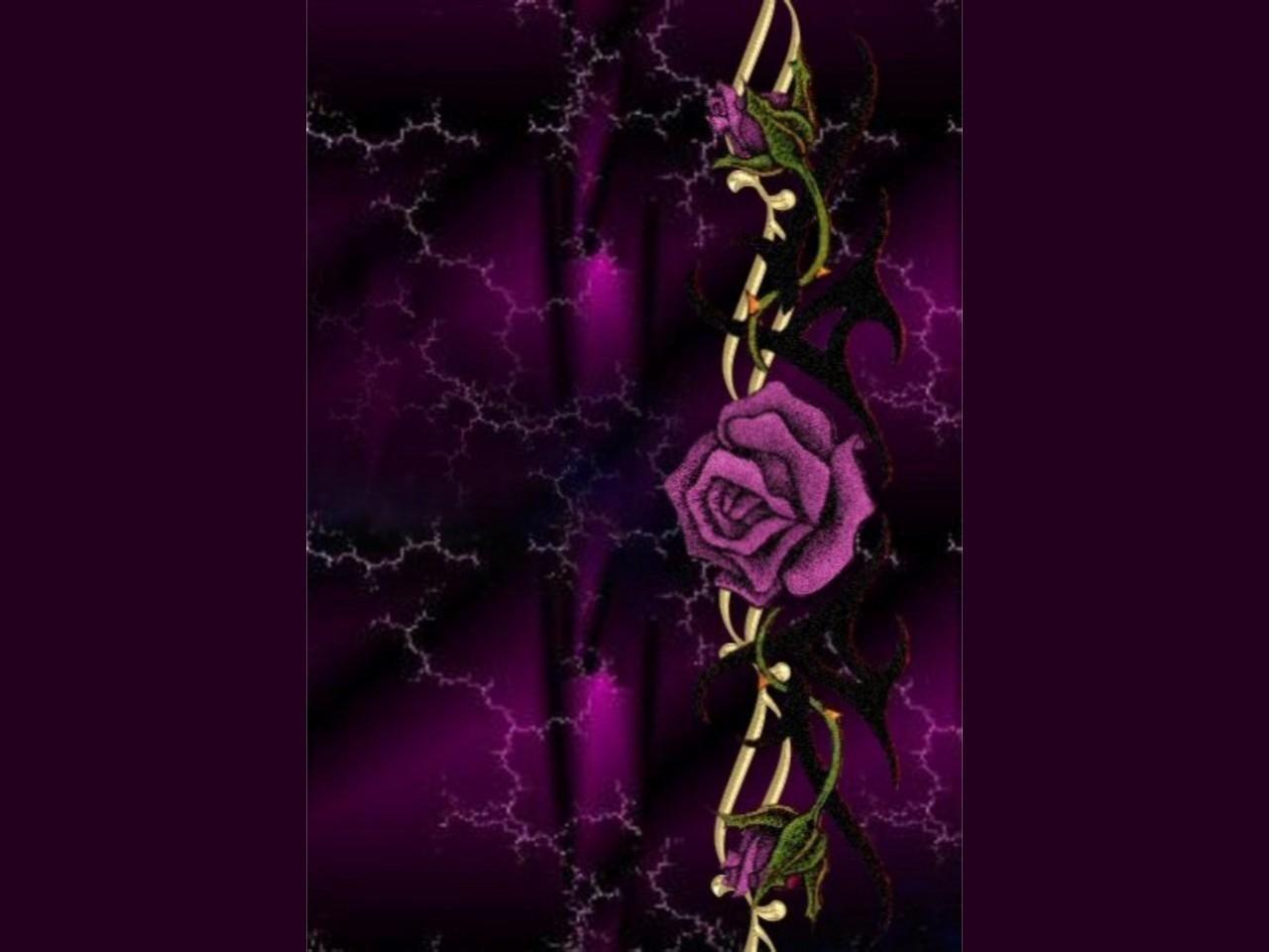 purple rose. ΠΑΛΕΤΑ ΧΡΩΜΑΤΩΝ, ΜΟΒ. Purple roses