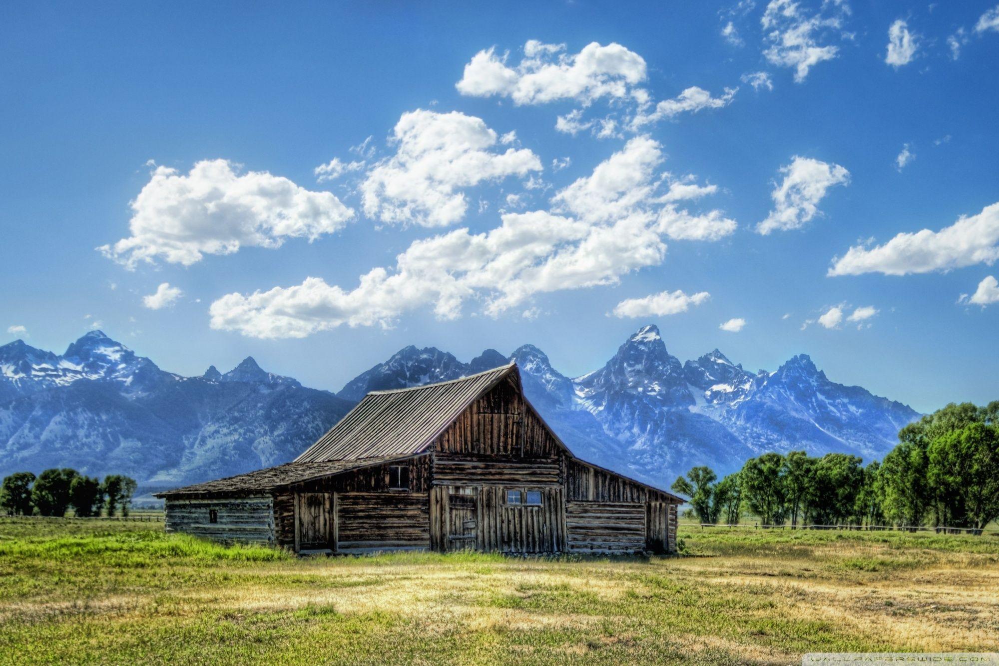 Cotton Field Wallpaper, Cotton Field Background
