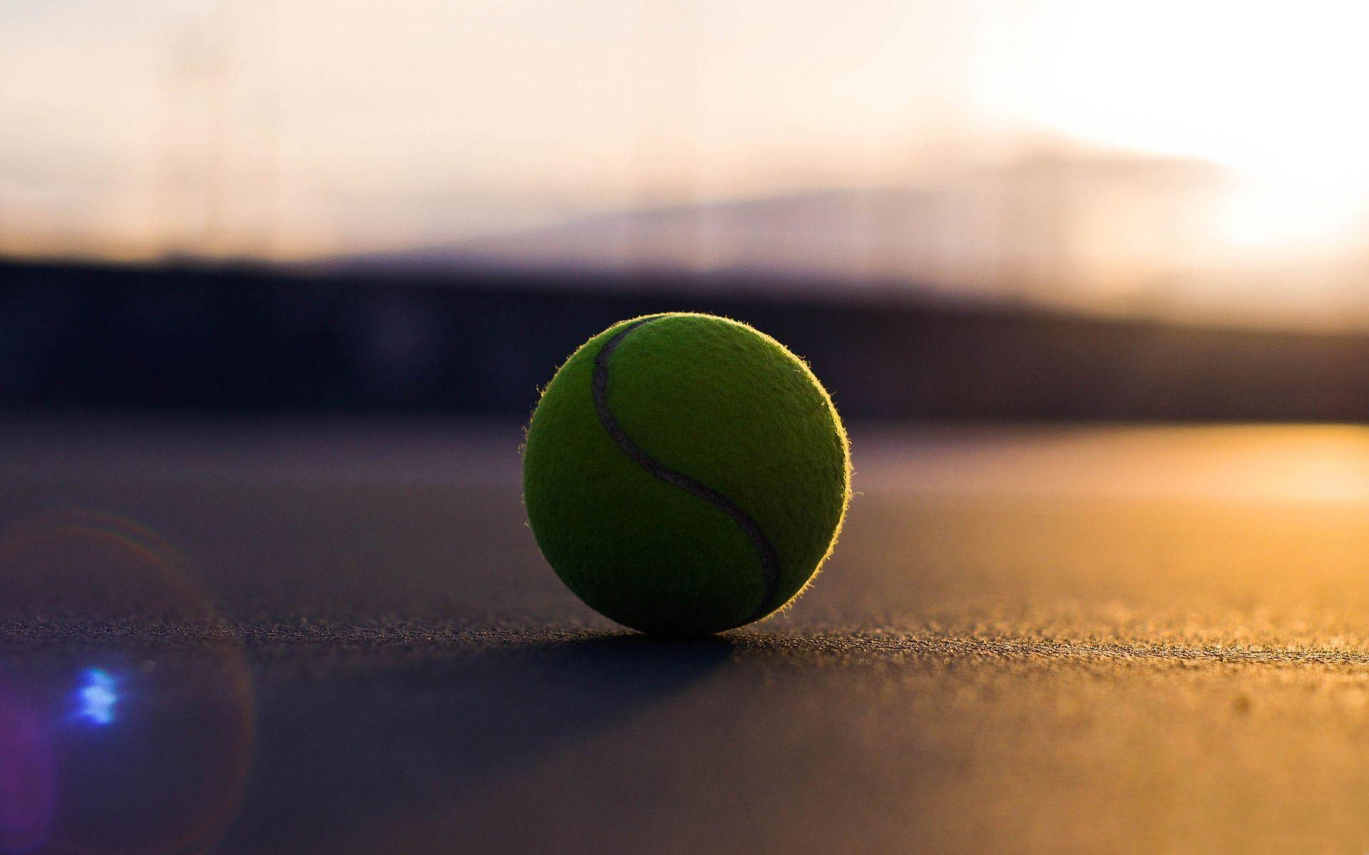 HD wallpaper: Flushing Meadows, Maria Sharapova, New York City, Tennis  Courts | Wallpaper Flare