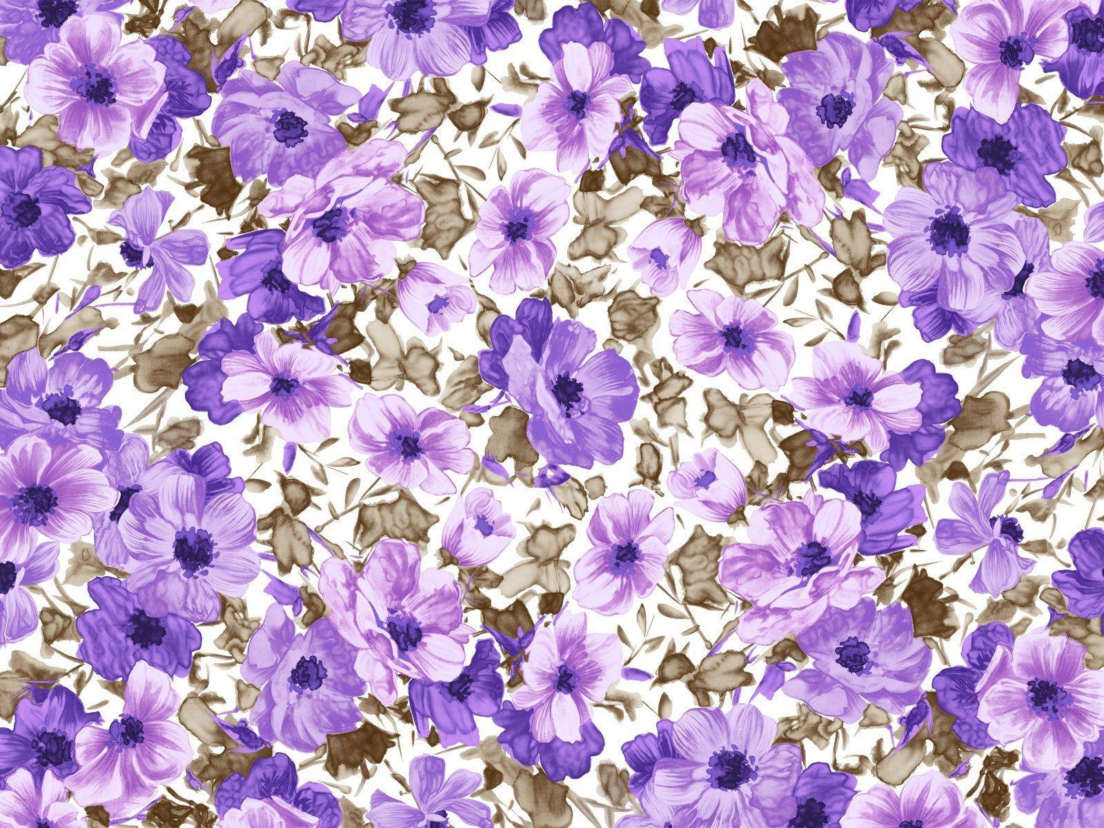 Белые фоны с фиолетовыми цветами