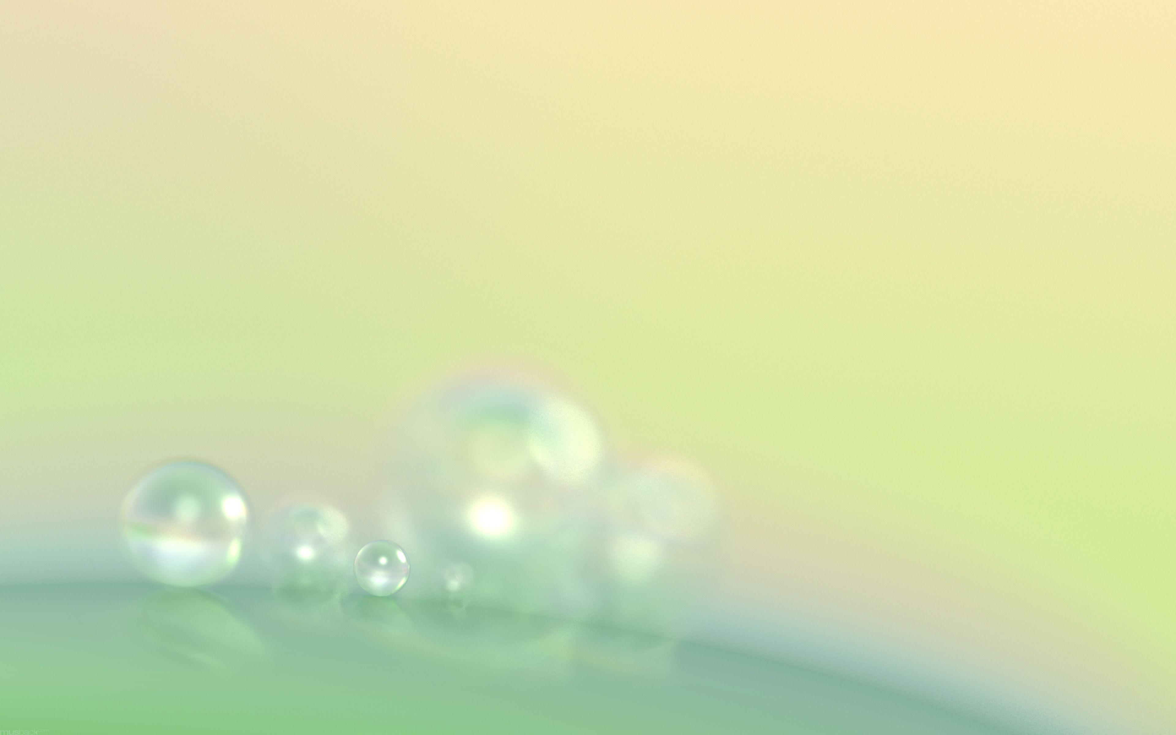 Drops of morning dew wallpaper and image, picture