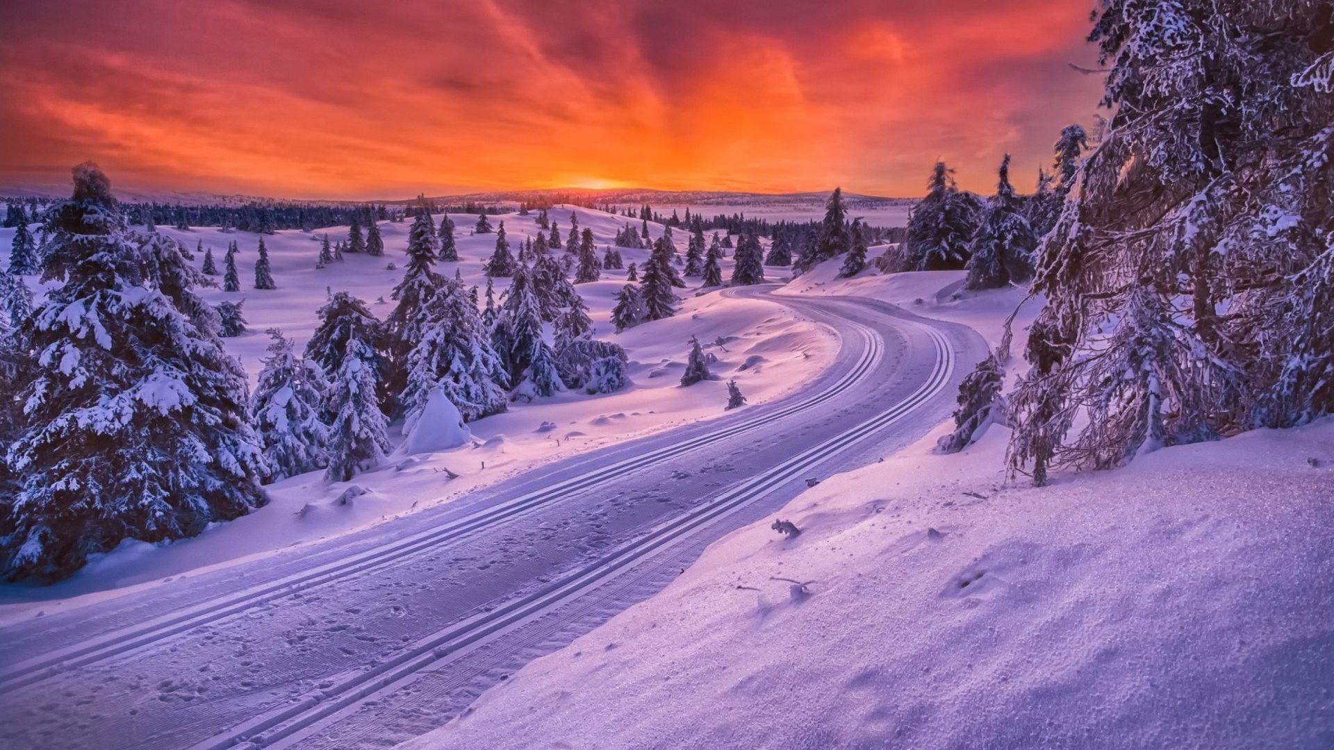 Wallpaper Tagged With Scandinavia: Sunset Forest Winter Road