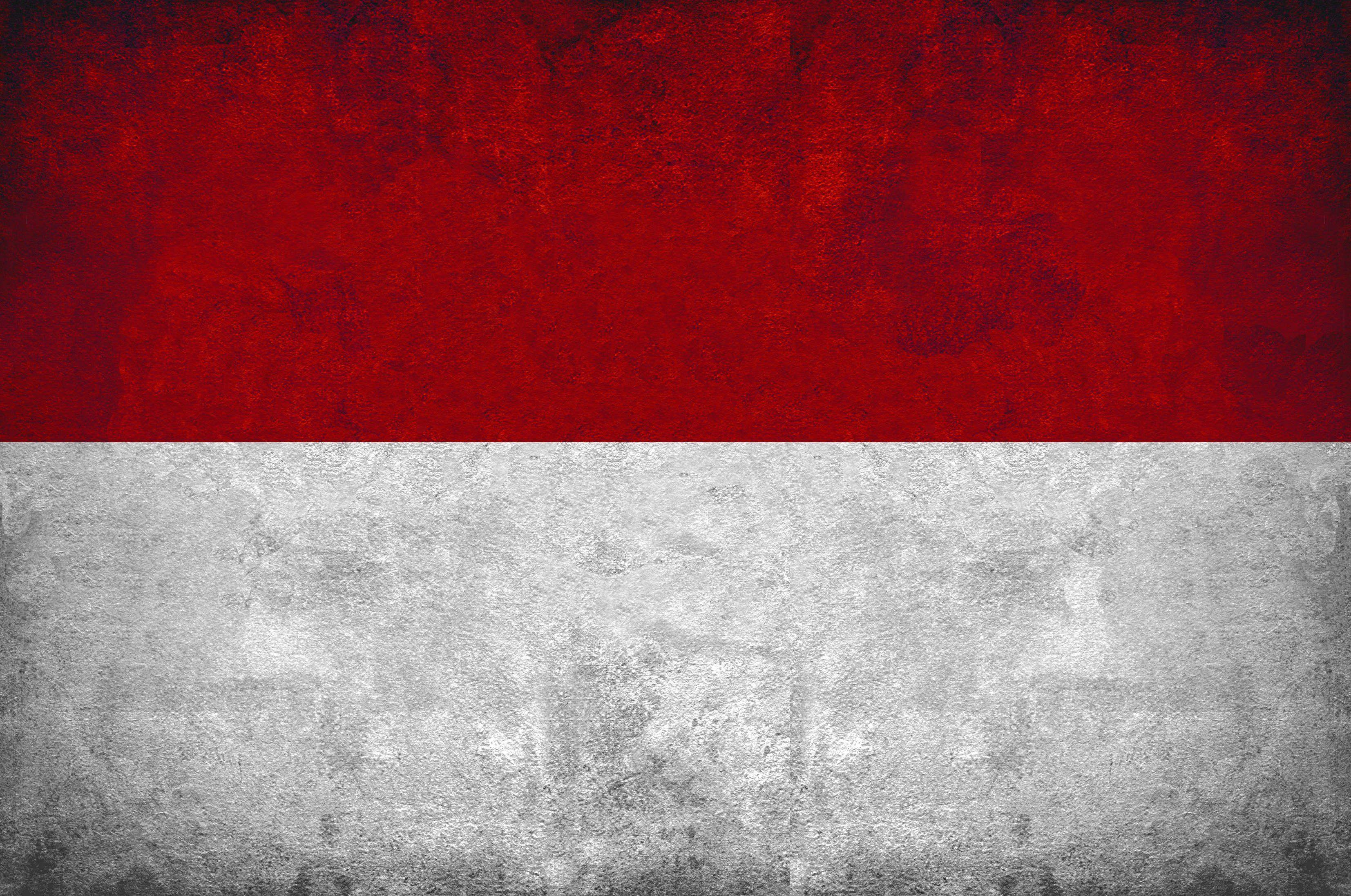 Indonesian Indonesia Flag