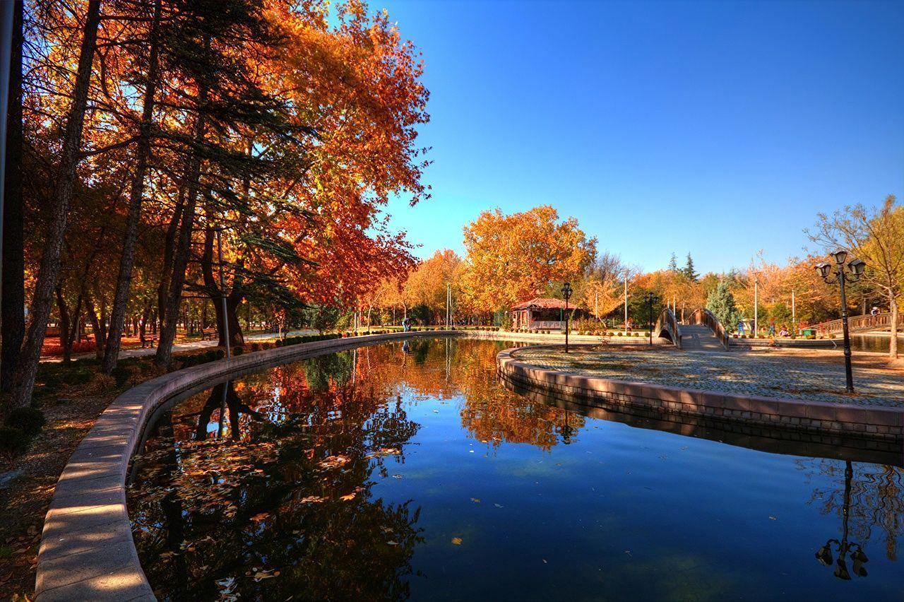 Turkey Ankara Autumn Parks Trees Cities