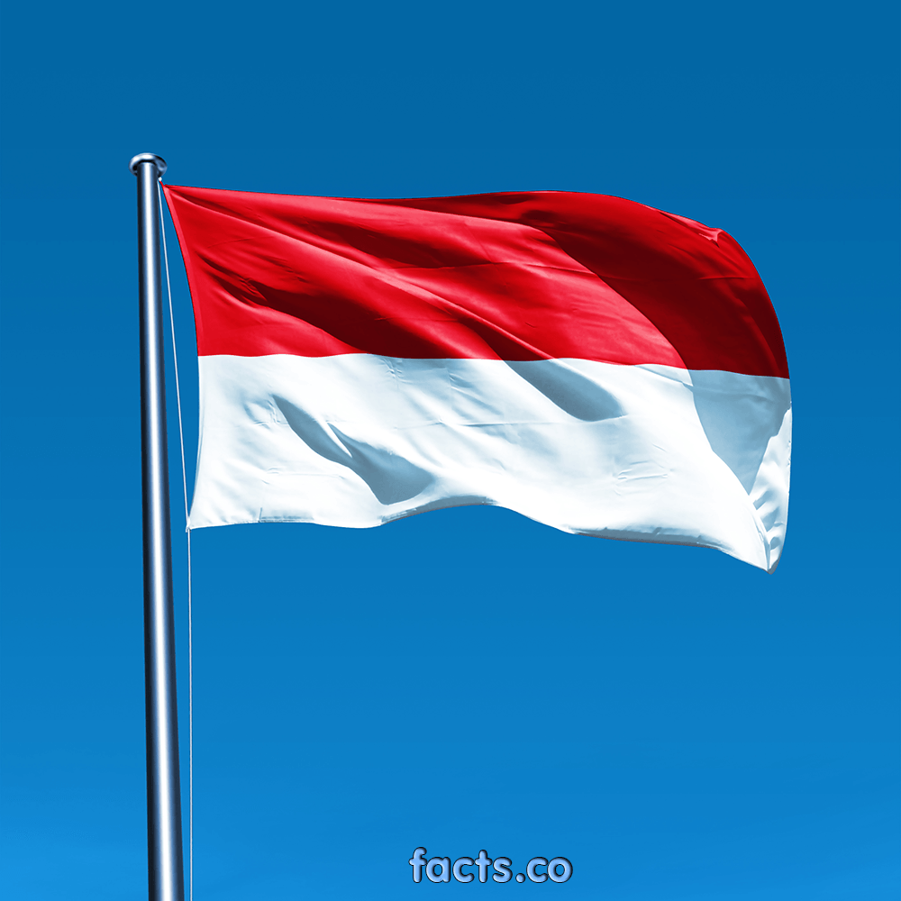 indonesia flag HD photo 1. HD Wallpaper Buzz