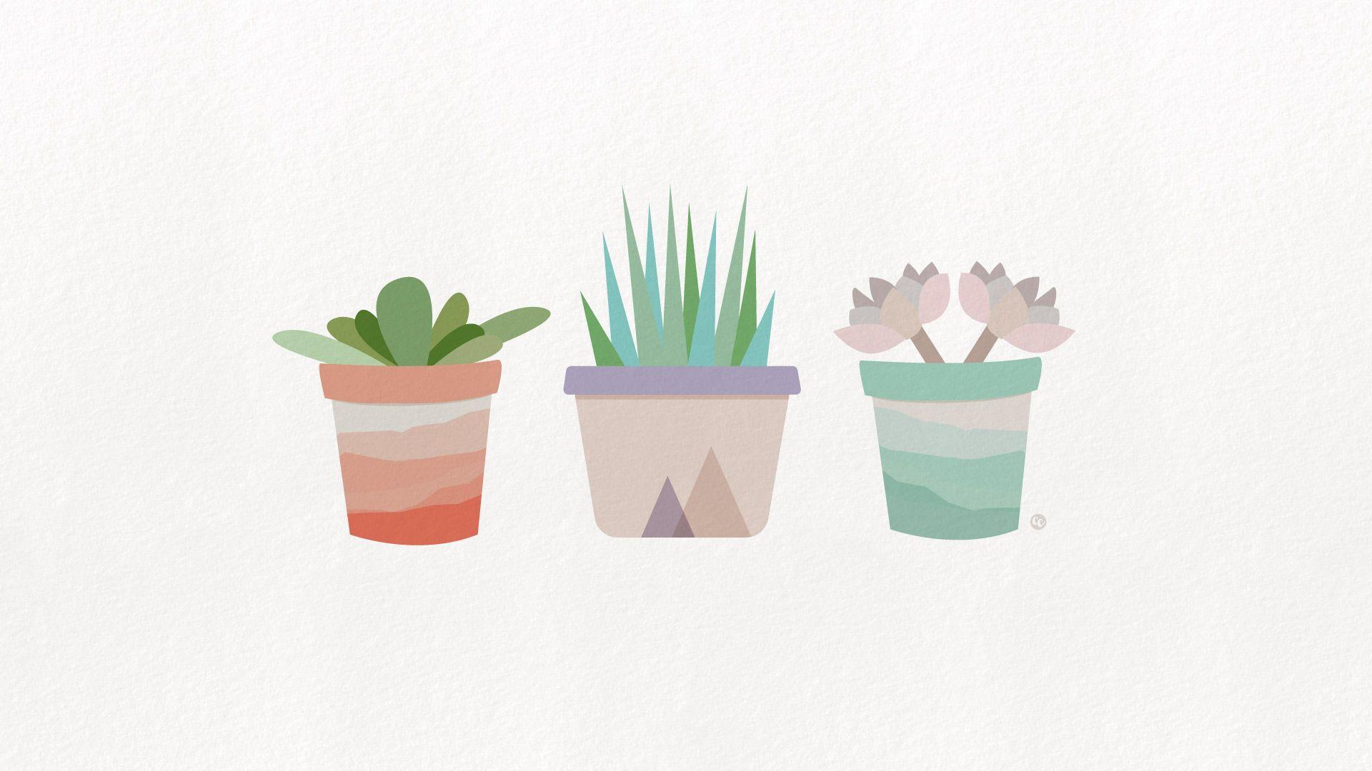 Free Desktop Wallpaper: Succulents