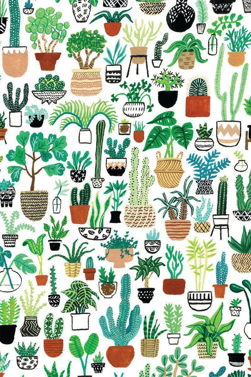 Freebie Wallpaper. Workspaces, Cacti and Wallpaper
