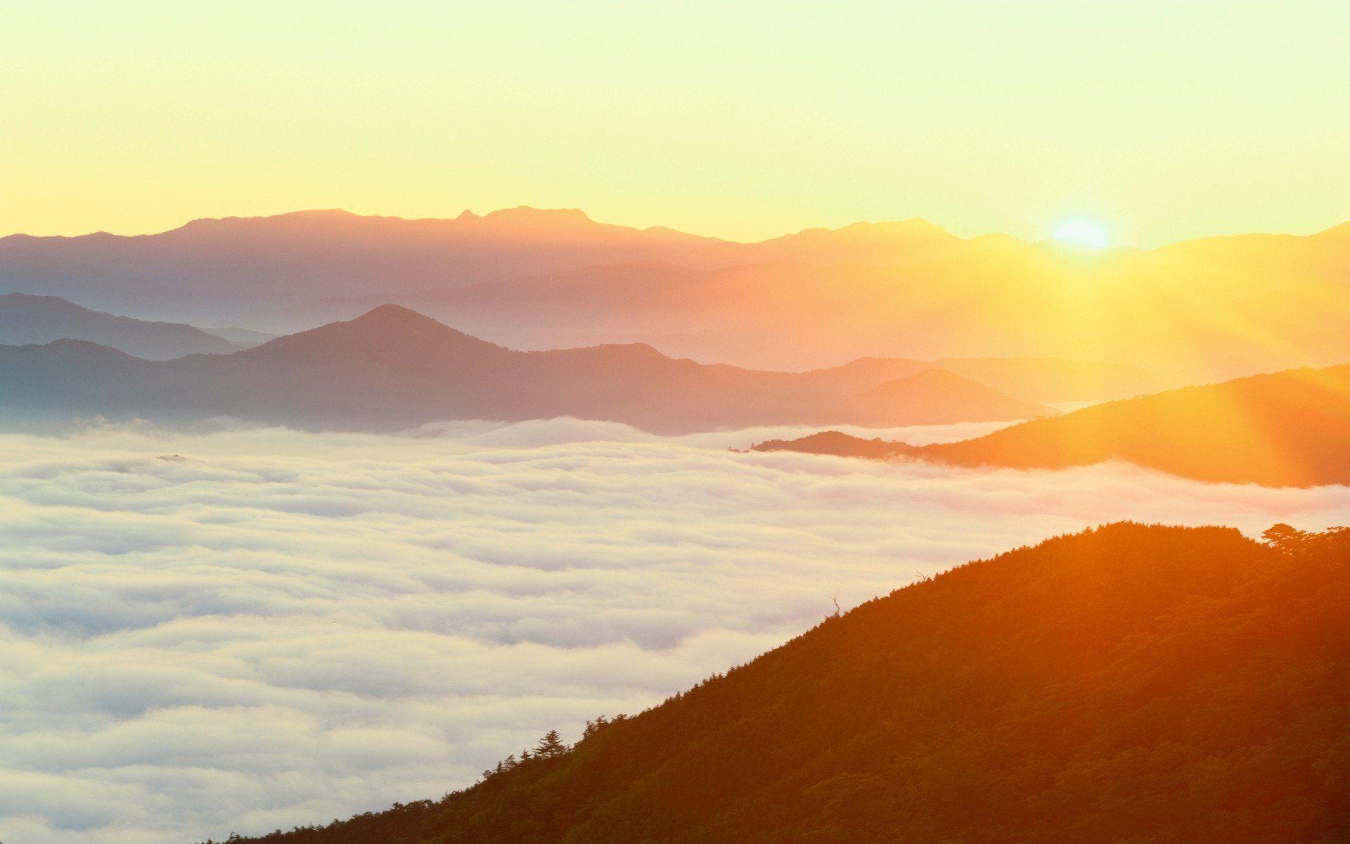 dawn mountain japan fog forest HD wallpaper