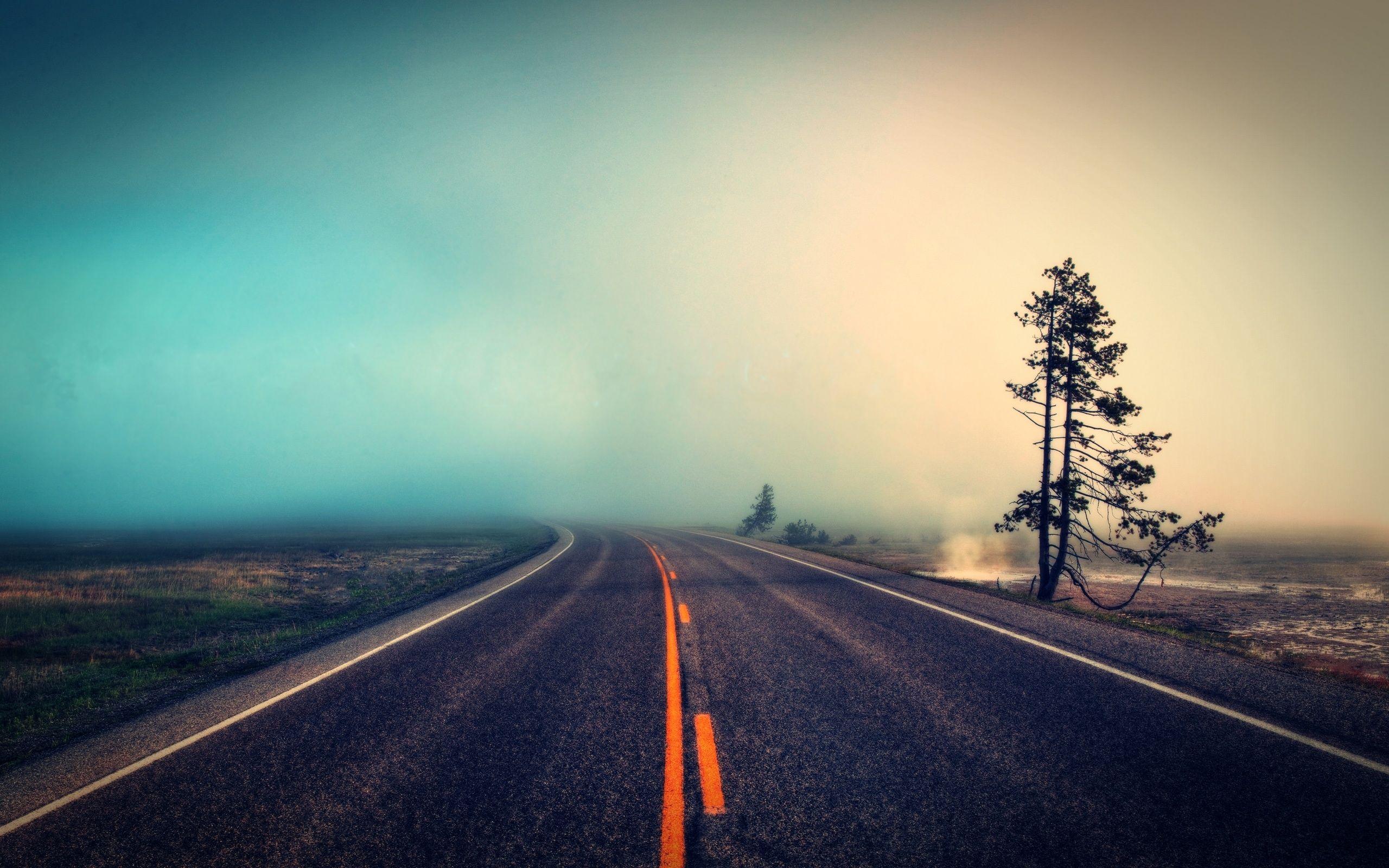 Dense Fog On Road