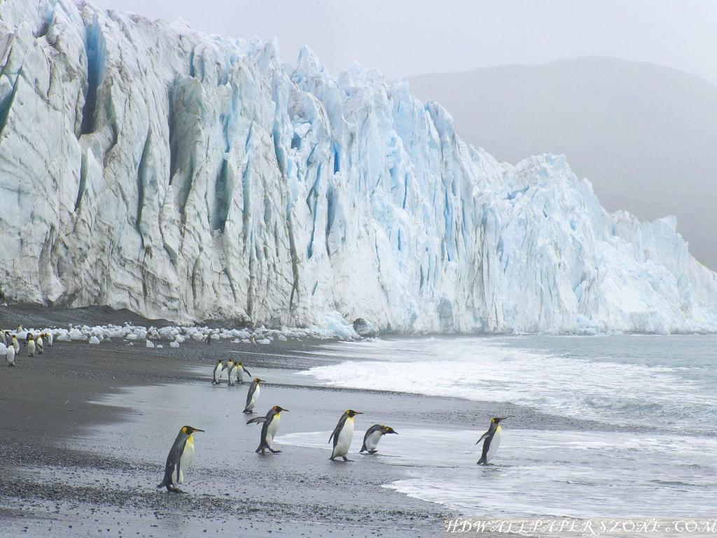 North Pole Wallpaper