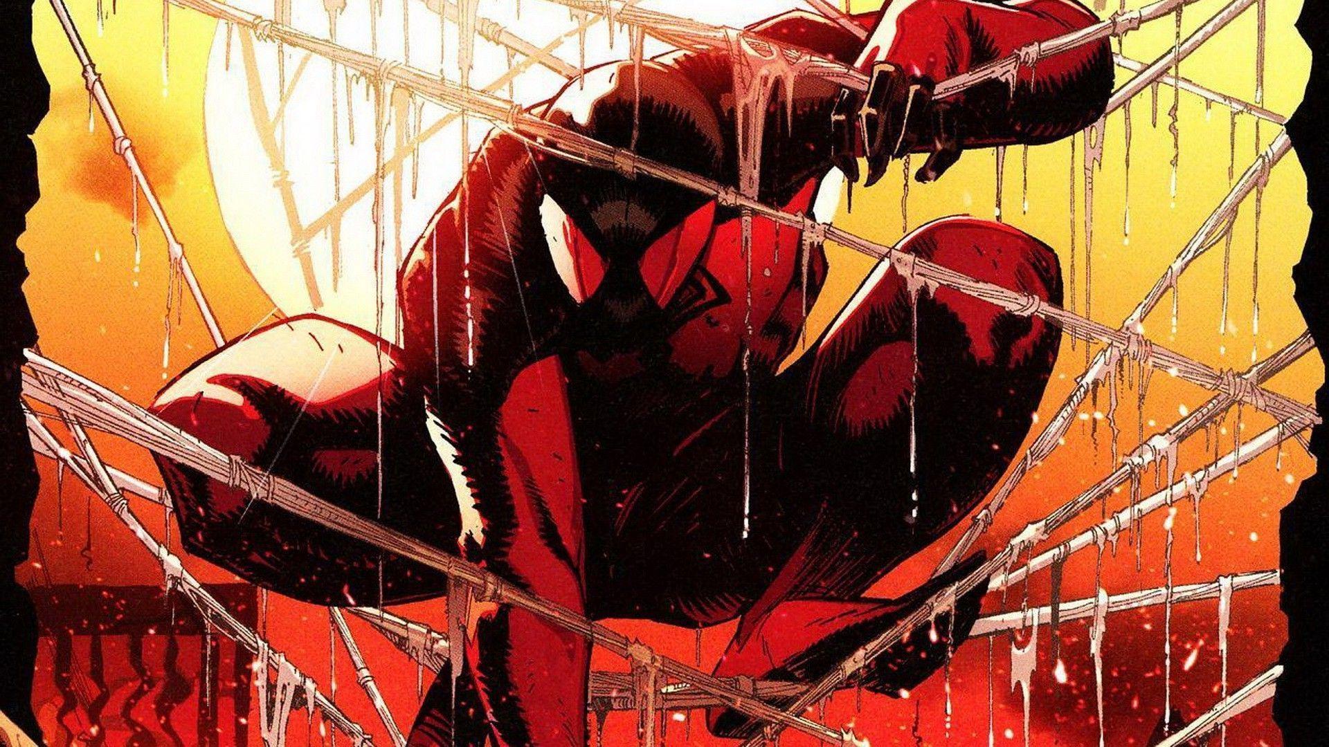 comics, Spider Man, Scarlet Spider, Kaine Parker Wallpaper HD