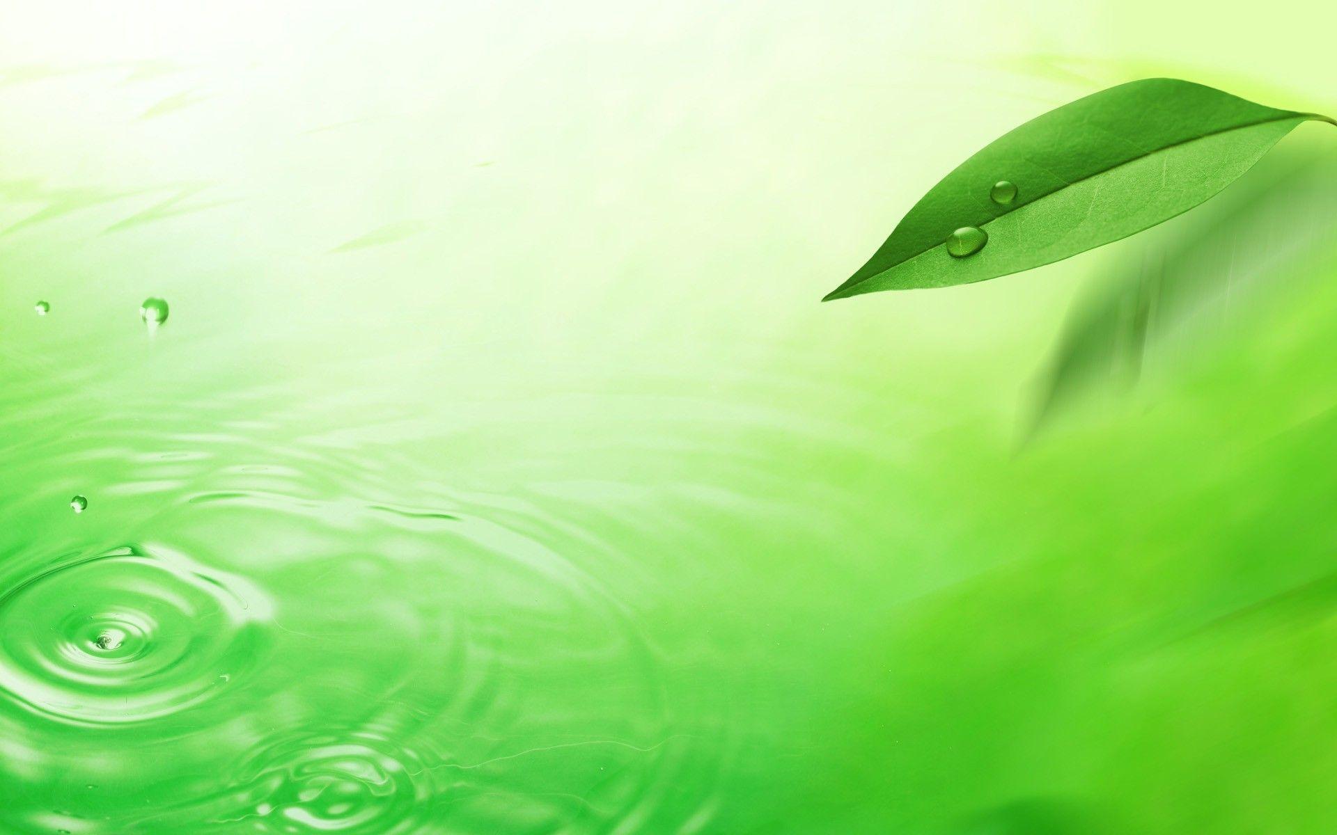 Green Leaf Water
