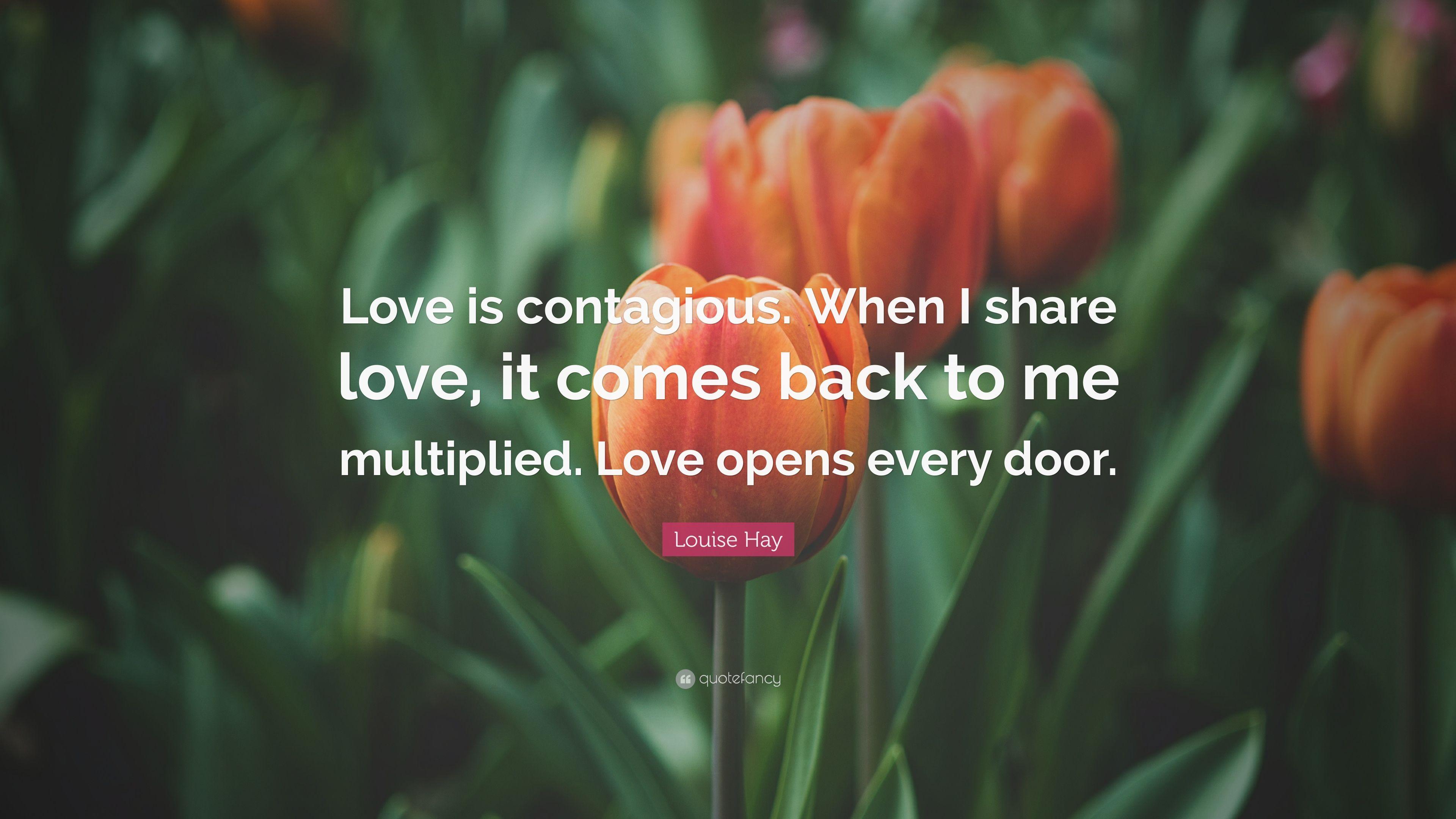 Louise Hay Quote: “Love is contagious. When I share love, it comes