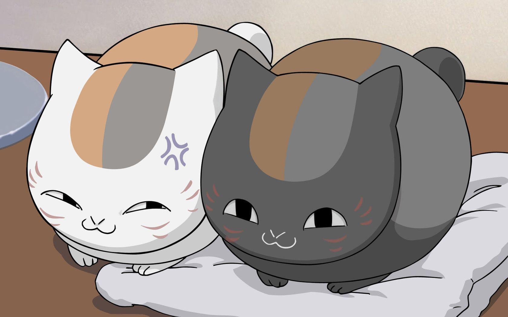 Kawaii Anime Cat – Top Kawaii Anime Cat, Cute Kawaii Cat HD wallpaper |  Pxfuel