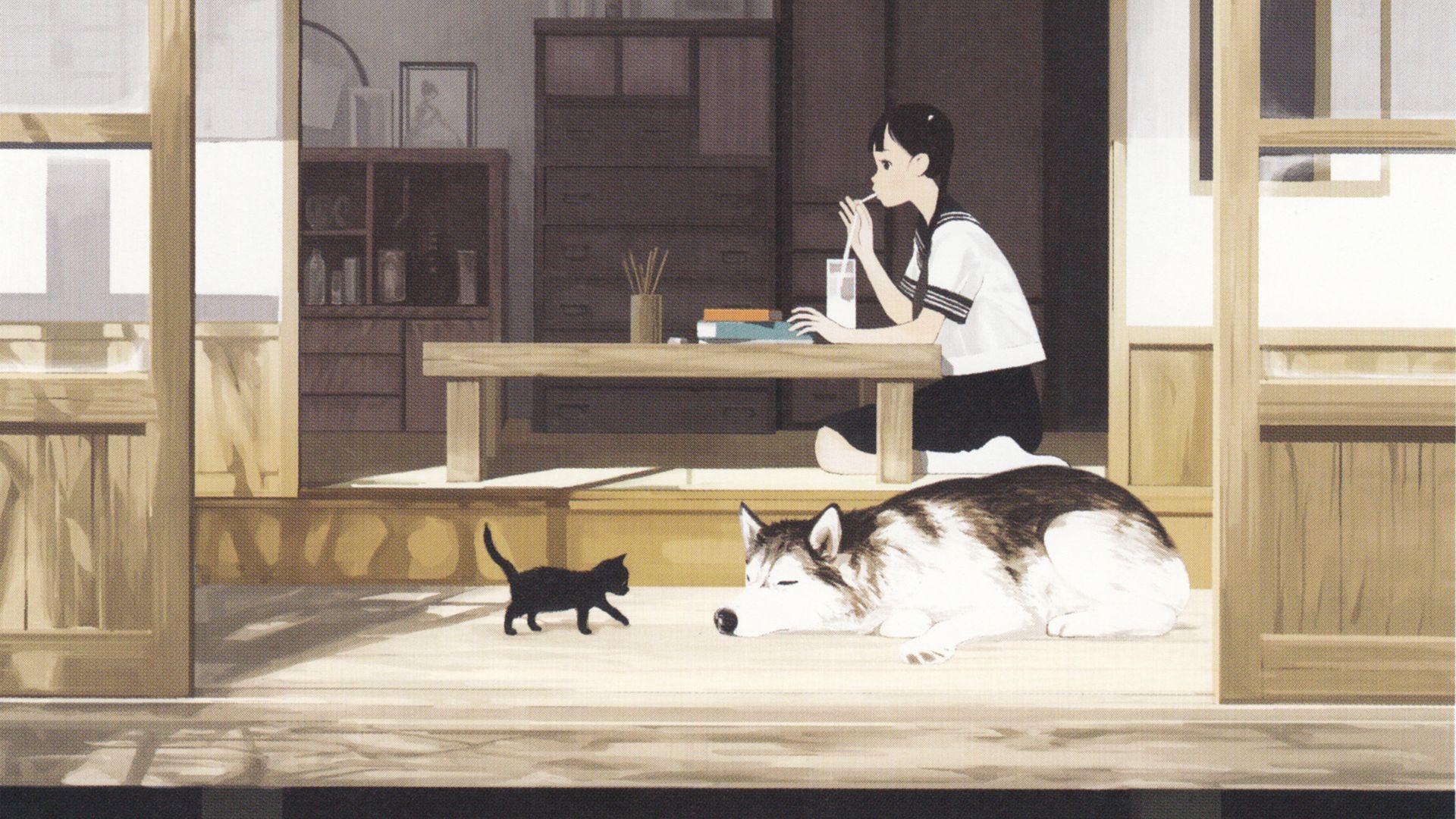 Anime Cats HD Wallpaperx1080