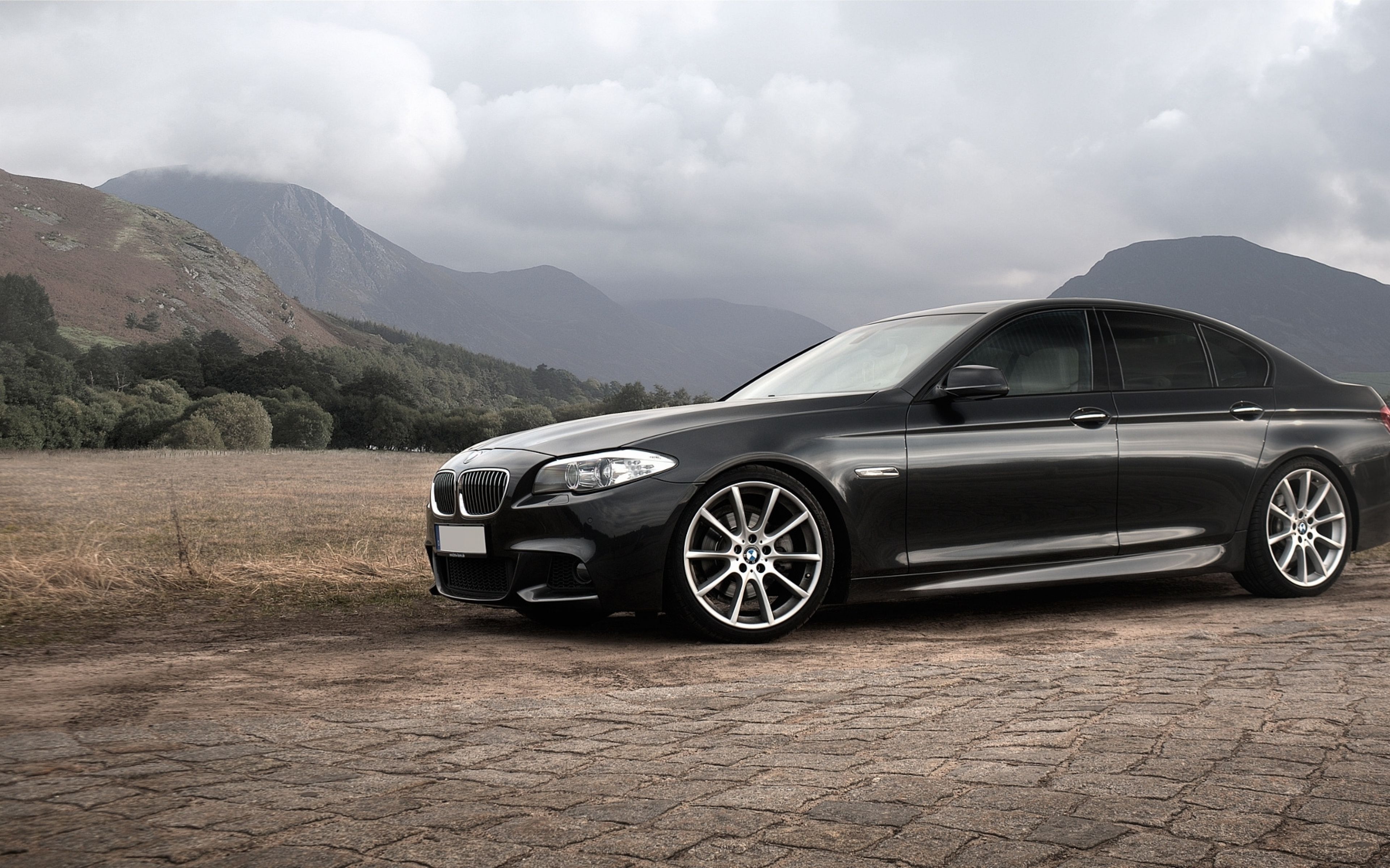 5 series f10