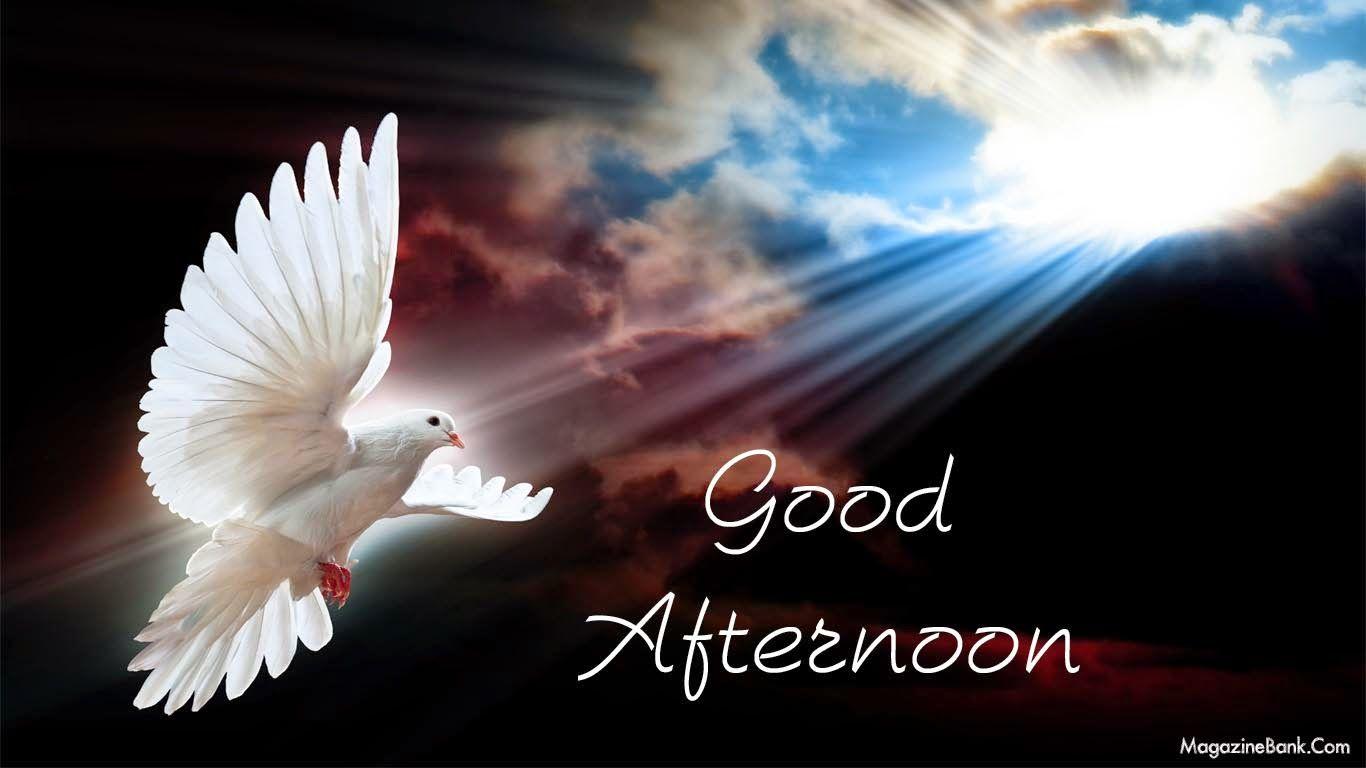 Good Afternoon Wallpapers - Wallpaper Cave