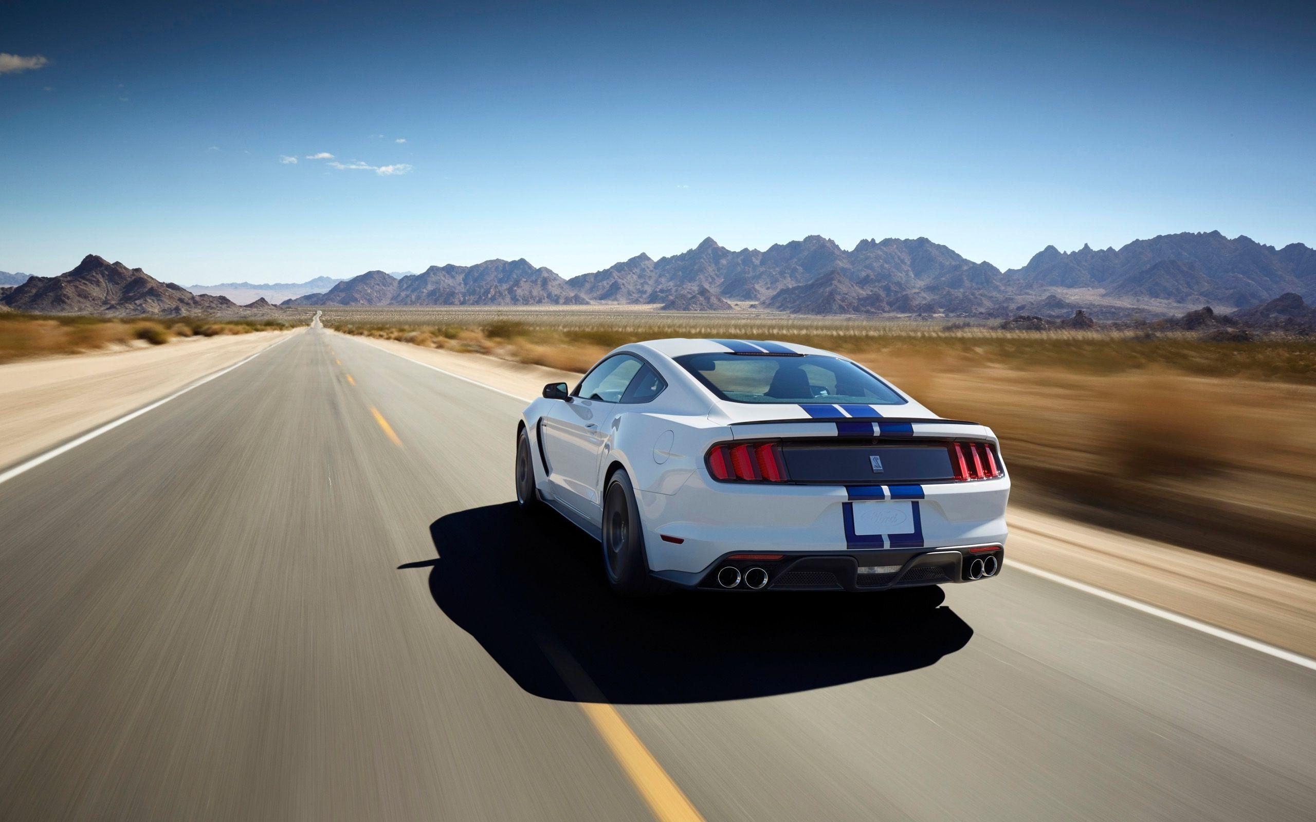 Shelby Ford Mustang GT350 Wallpaper