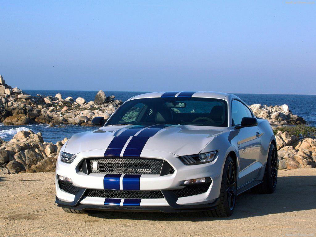 Shelby Mustang GT350 image Ford Mustang Shelby GT350 2016 White