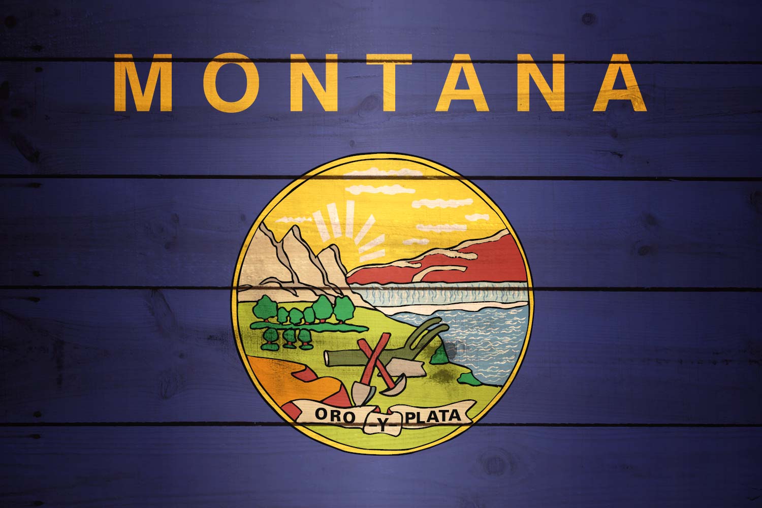 Flag of Montana Texture it for free