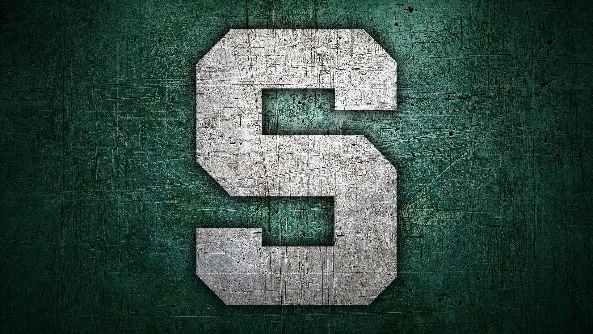 michigan state flower wallpapers