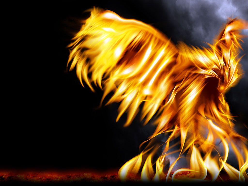 Phoenix Rising Wallpaper Dragons And Phoenix Rising From Ashes Wallpapers 