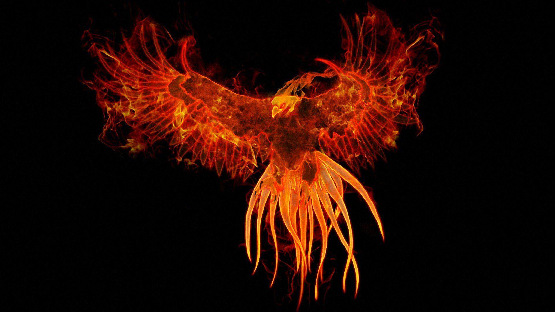 birds fire phoenix fantasy art digital art artwork mythology