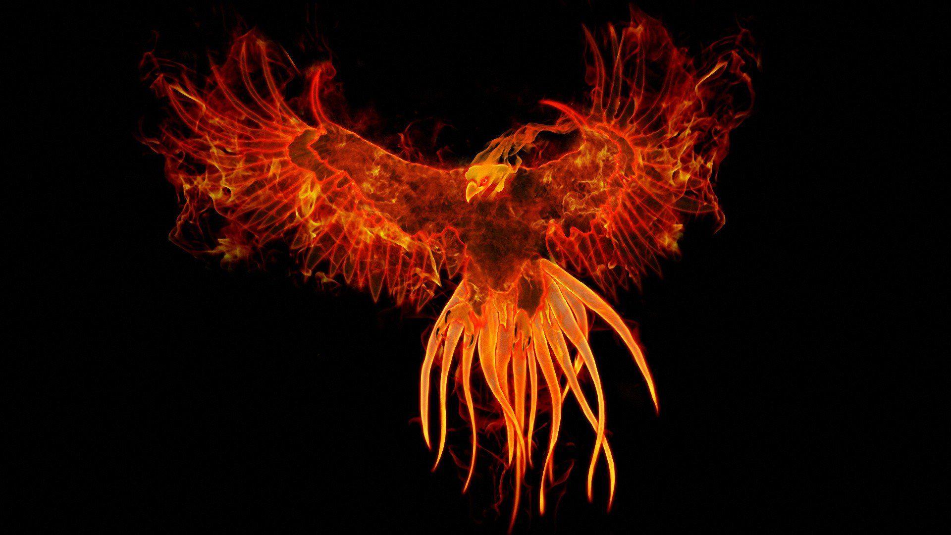 Dragons And Phoenix Rising From Ashes Wallpapers Wallpaper Cave