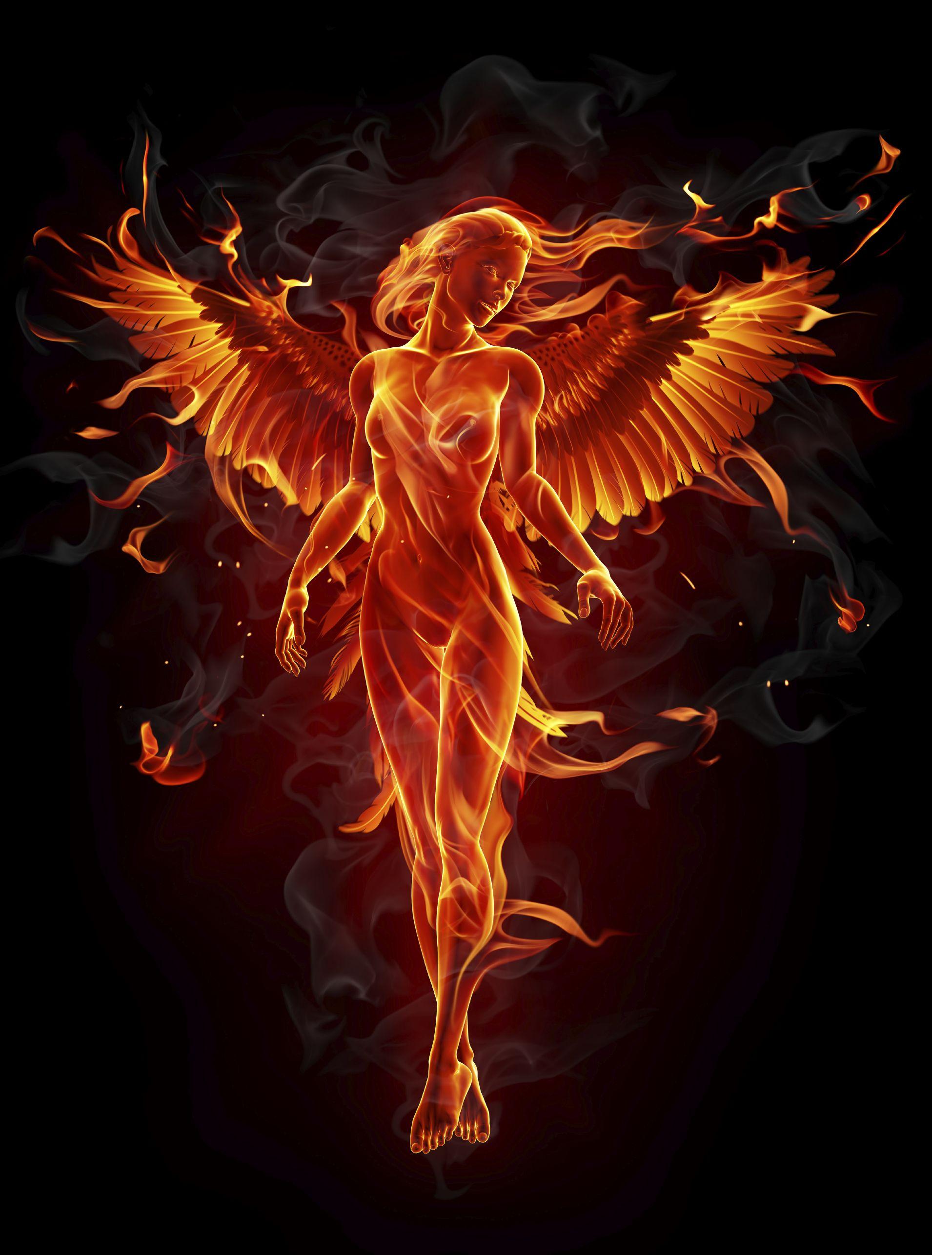 Purple Phoenix Wallpaper Dragons And Phoenix Rising From Ashes Wallpapers 