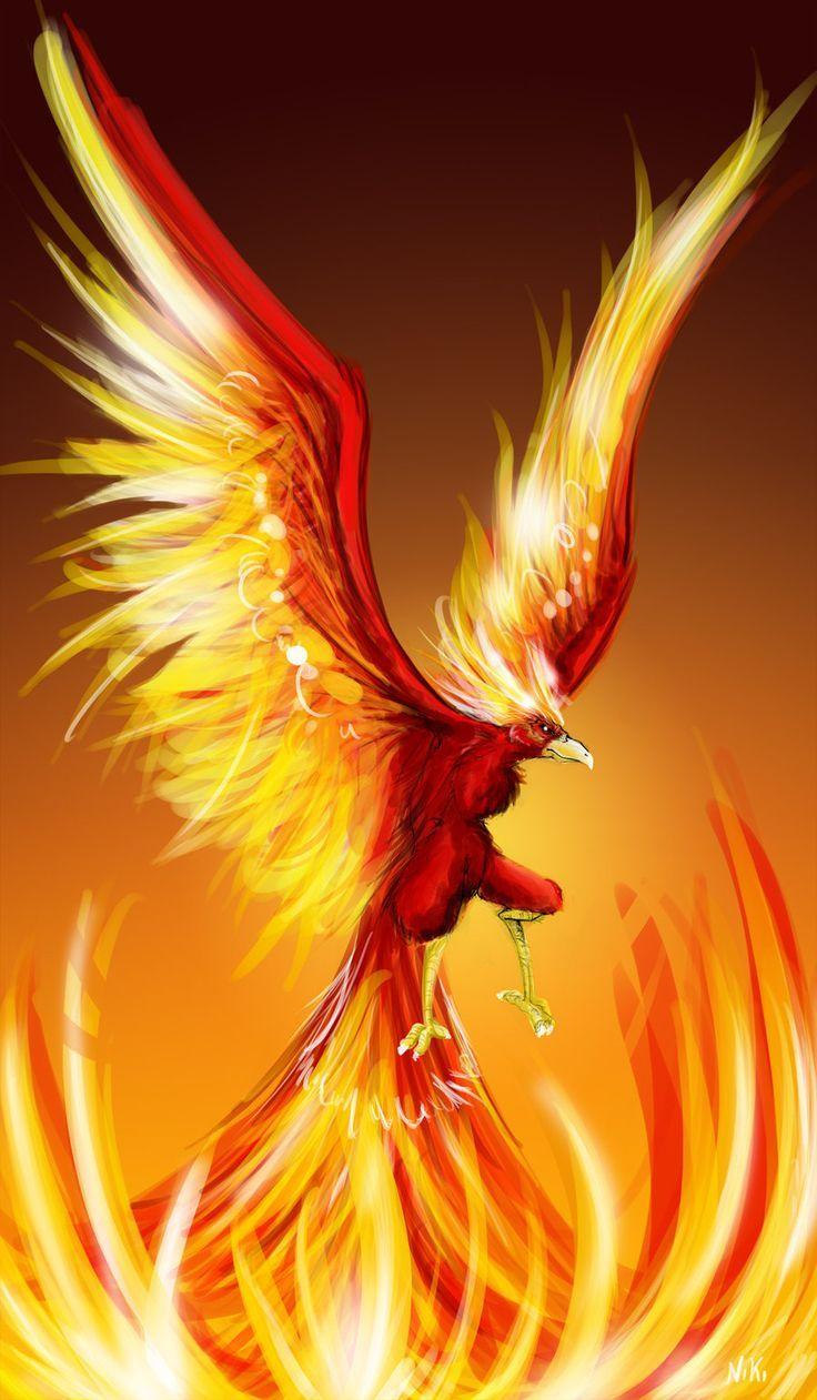 Phoenix Bird Wallpaper Dragons And Phoenix Rising From Ashes Wallpapers 