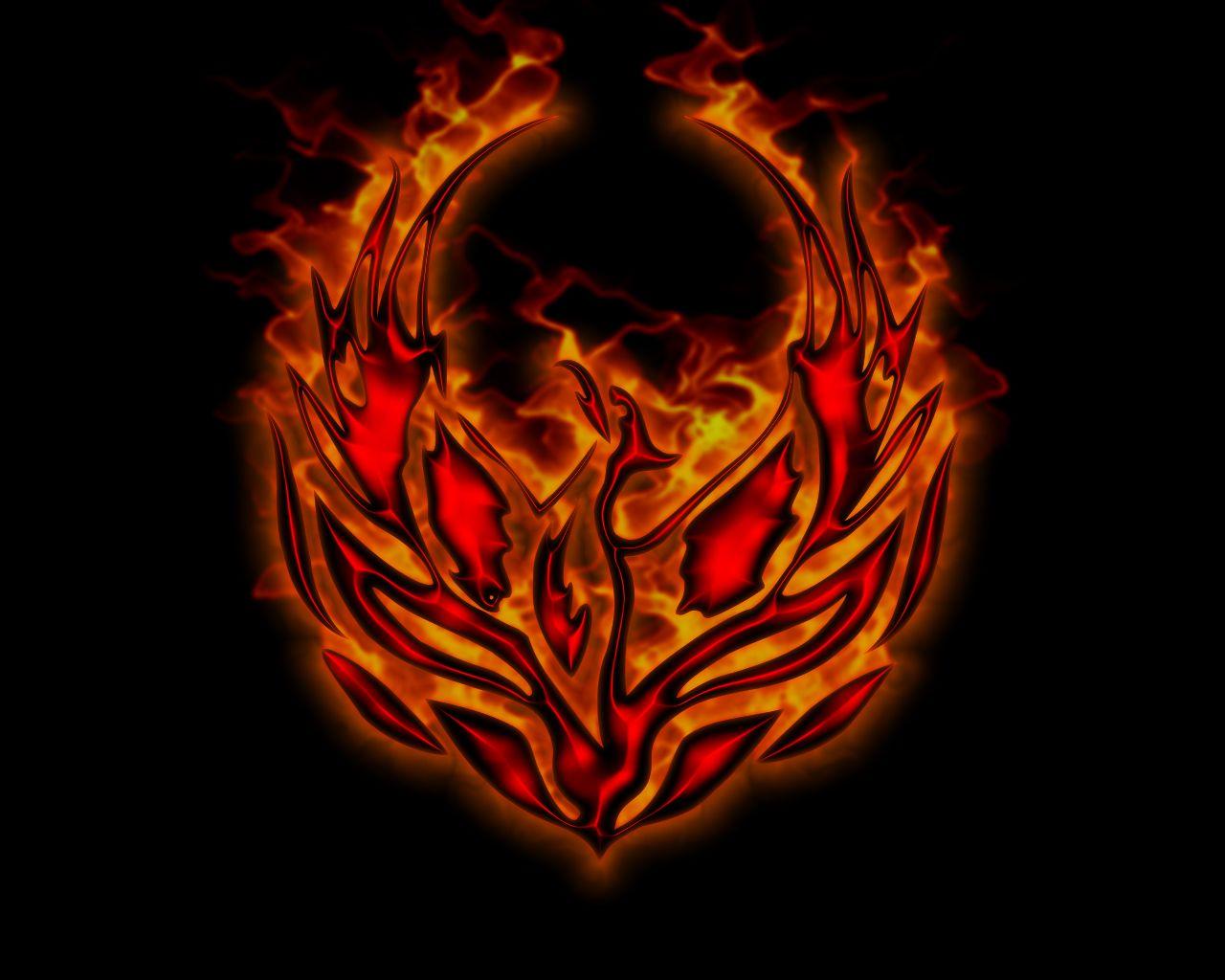 Phoenix Rising Wallpaper Dragons And Phoenix Rising From Ashes Wallpapers 