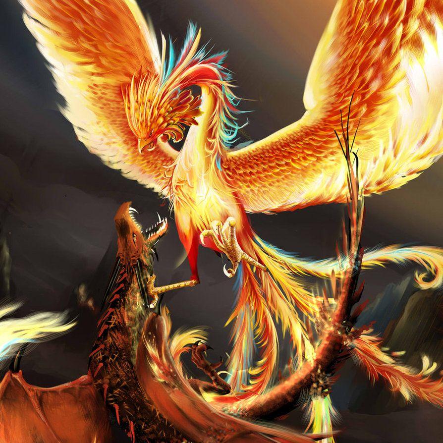 closer Phoenix n Red dragon by ohnios.