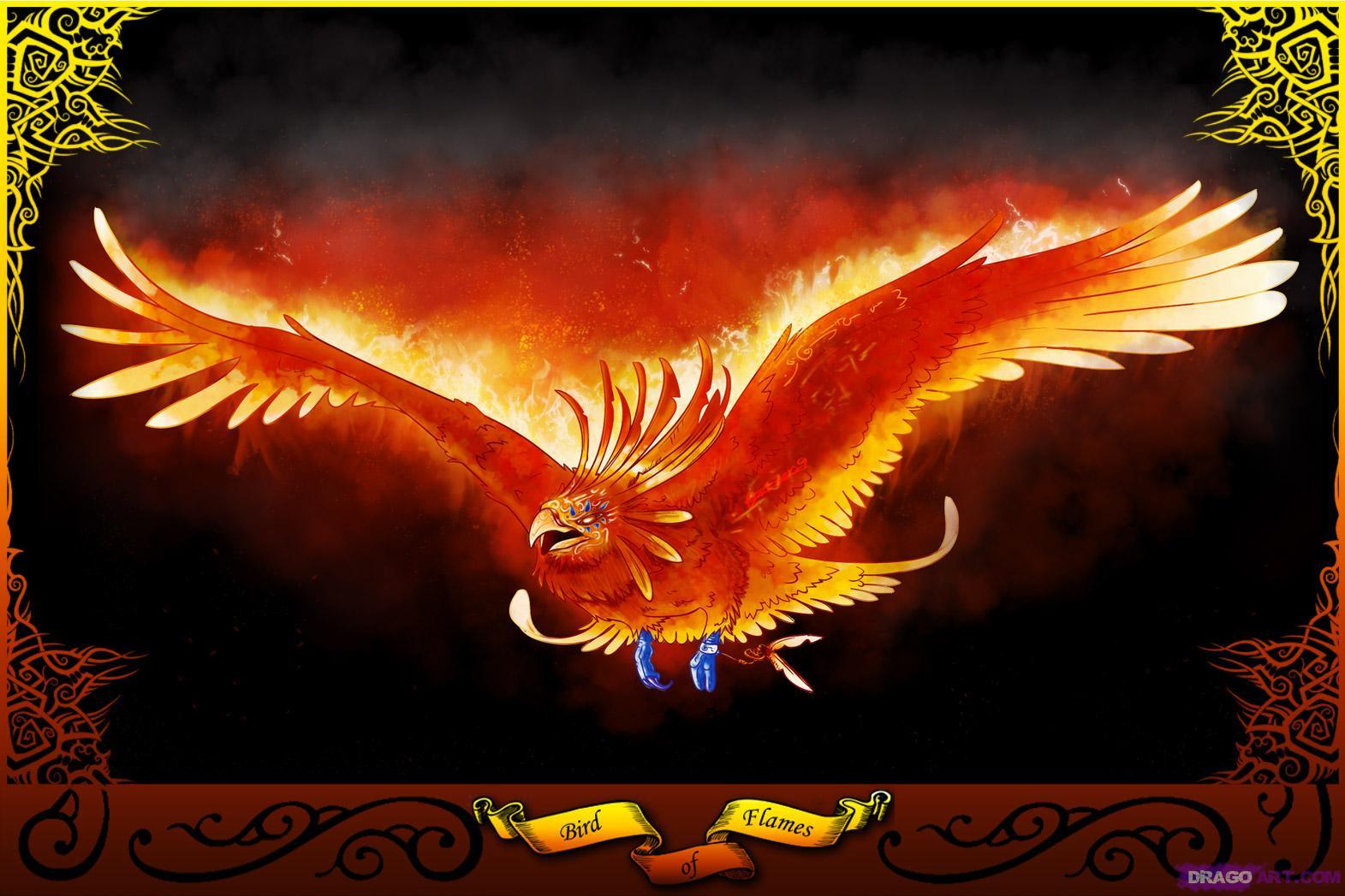 Dragons And Phoenix Rising From Ashes Wallpapers ...
