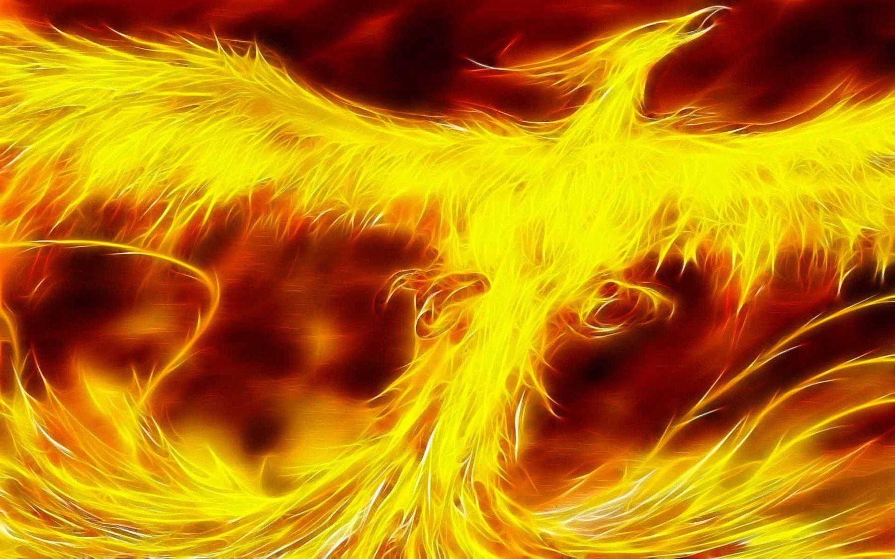 Phoenix Rising Wallpaper Dragons And Phoenix Rising From Ashes Wallpapers 