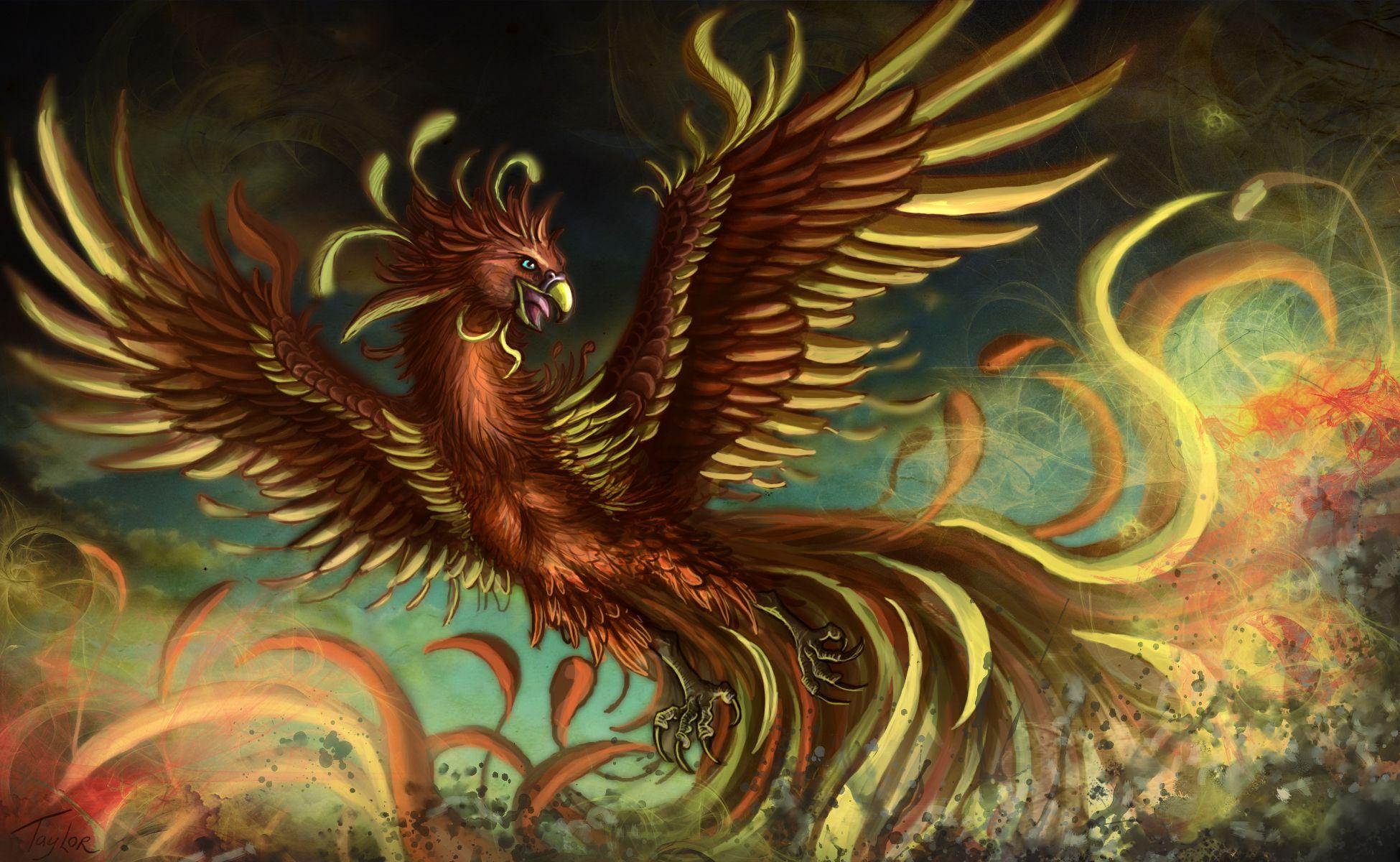 Dragons And Phoenix Rising From Ashes Wallpapers