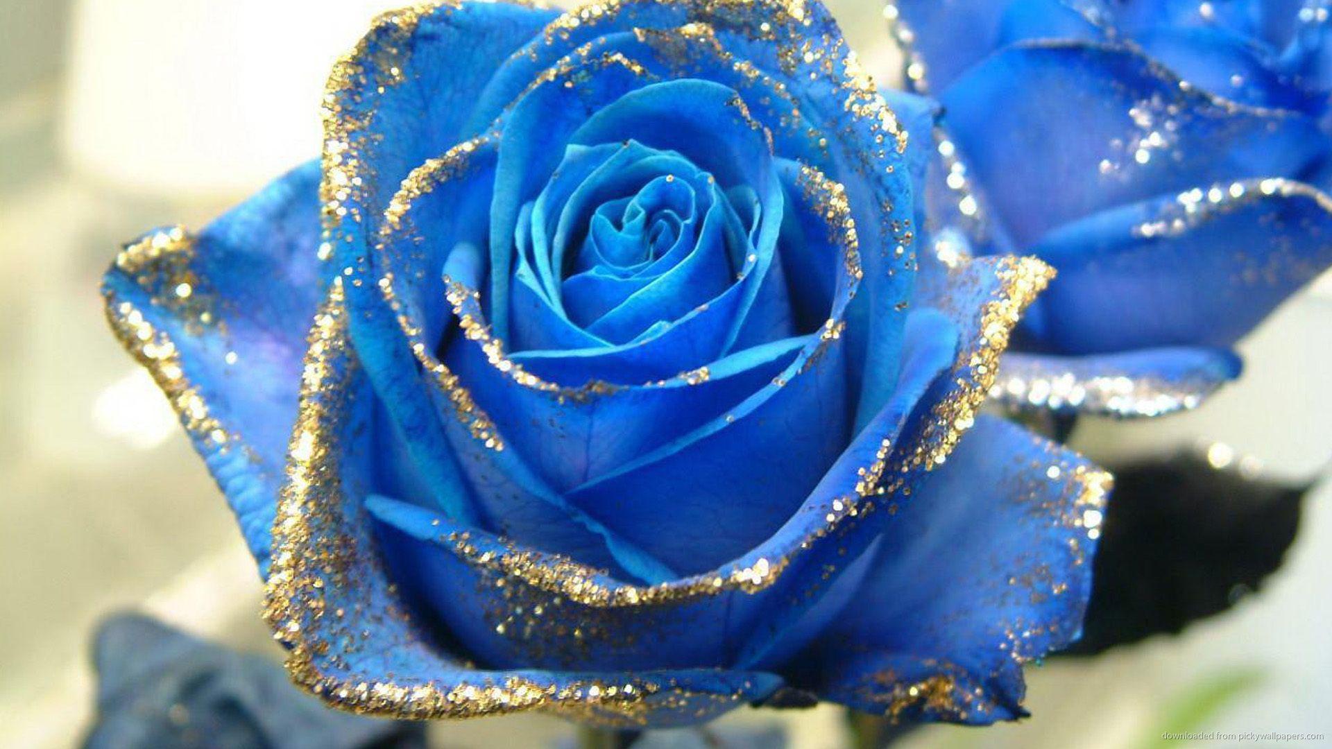Blue Rose With Gold Glitter Wallpaper Picture For iPhone