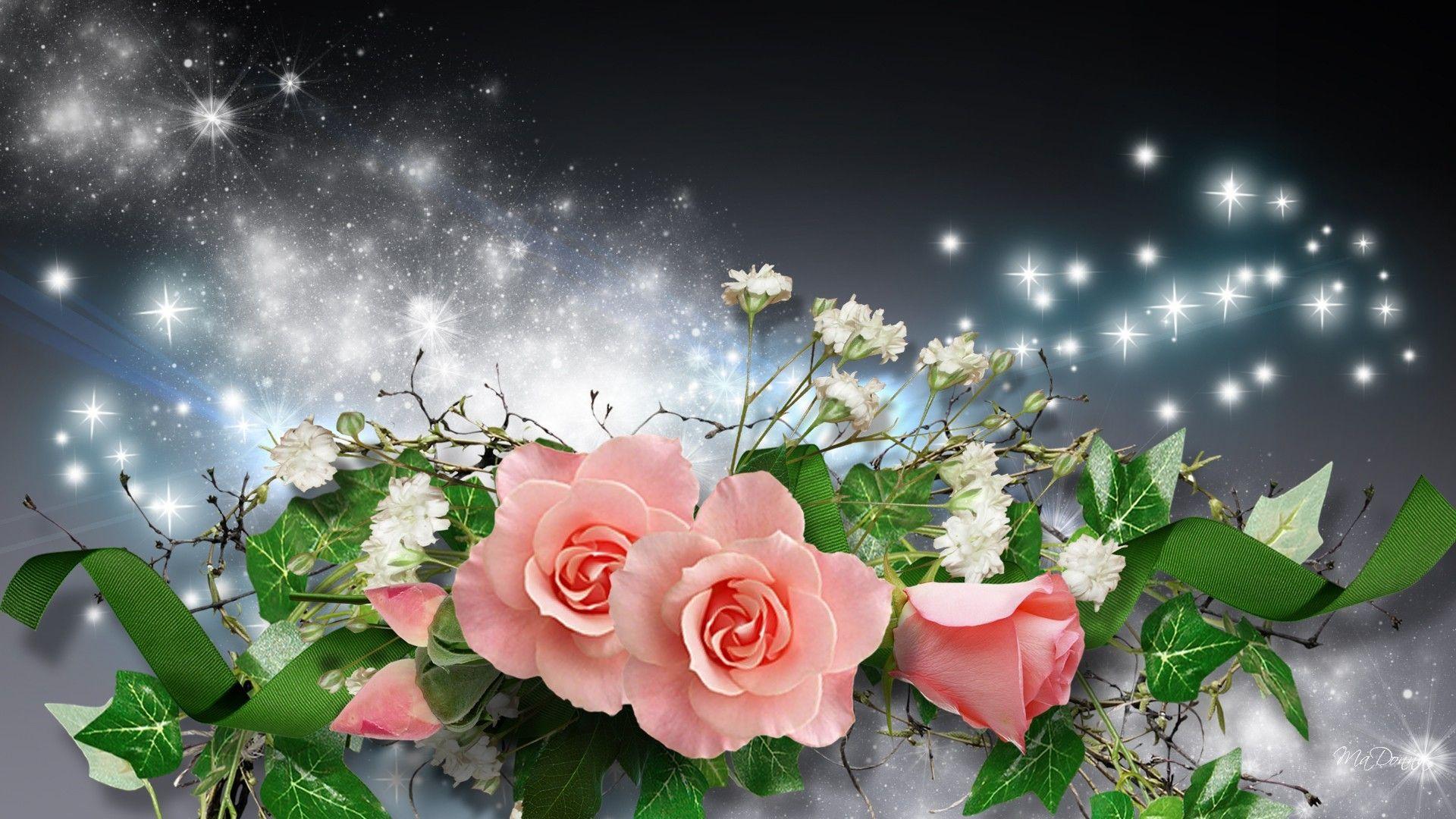 Flowers: Pink Roses Blue Whispers Radiate Light Shine Flash Burn