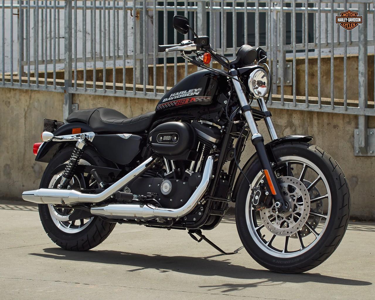 Iron 883 Wallpaper
