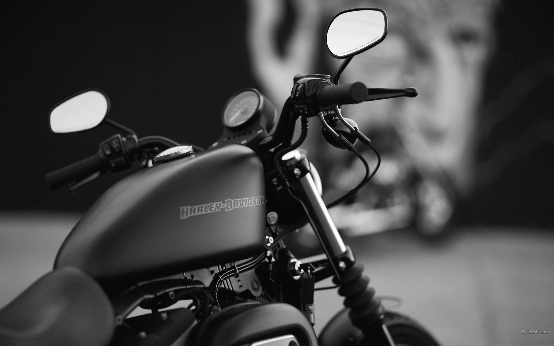 harley davidson Google. Harley Davidson