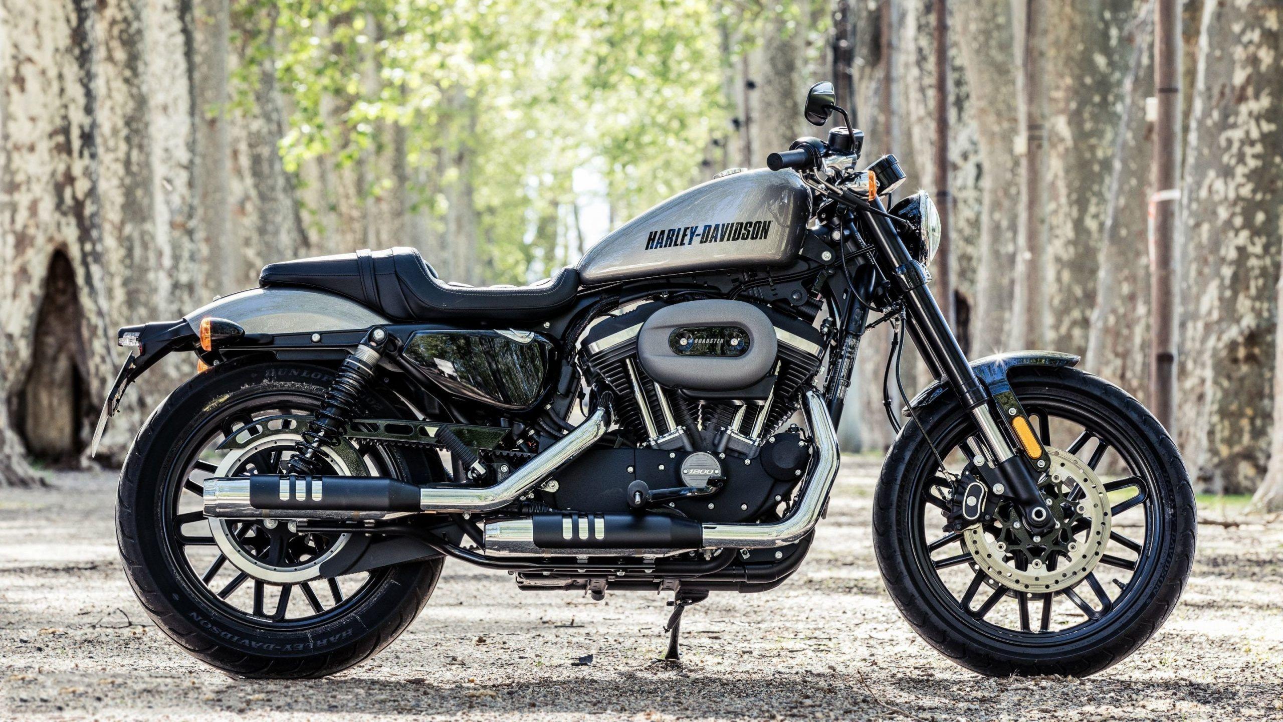 Roadster Motorcycle Definition
