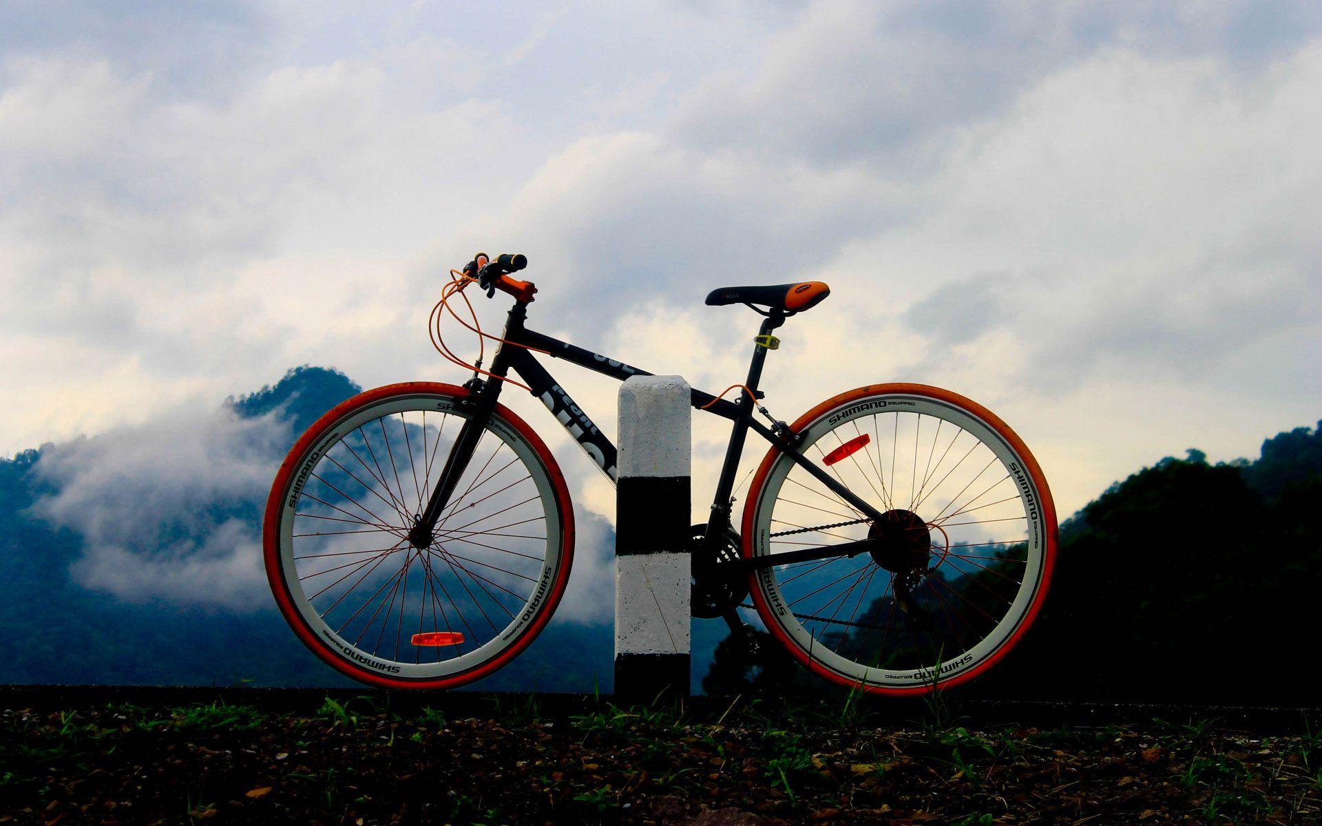 Lovely Bicycle Wallpaper