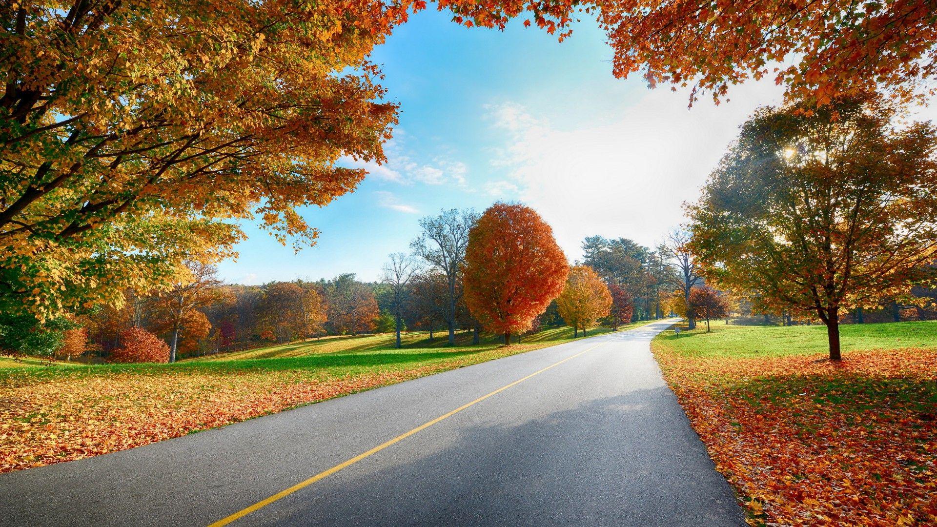 Wallpaper Highway, Autumn, Foliage, HD, Nature