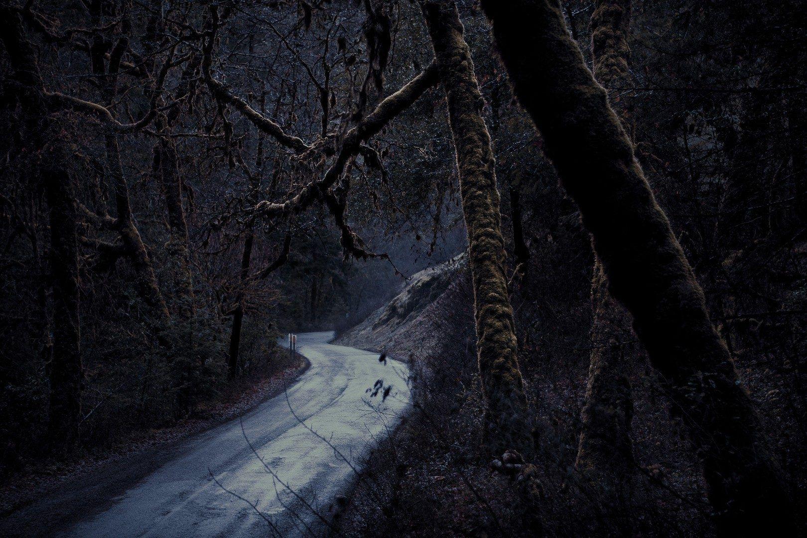Dark Tag wallpaper: Dark Road Forest Tree Background HD