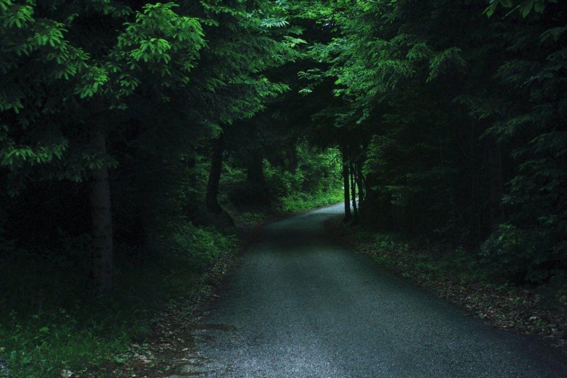 Forests: Path Dark Forest Deep Trees Road Wallpaper For Desktop