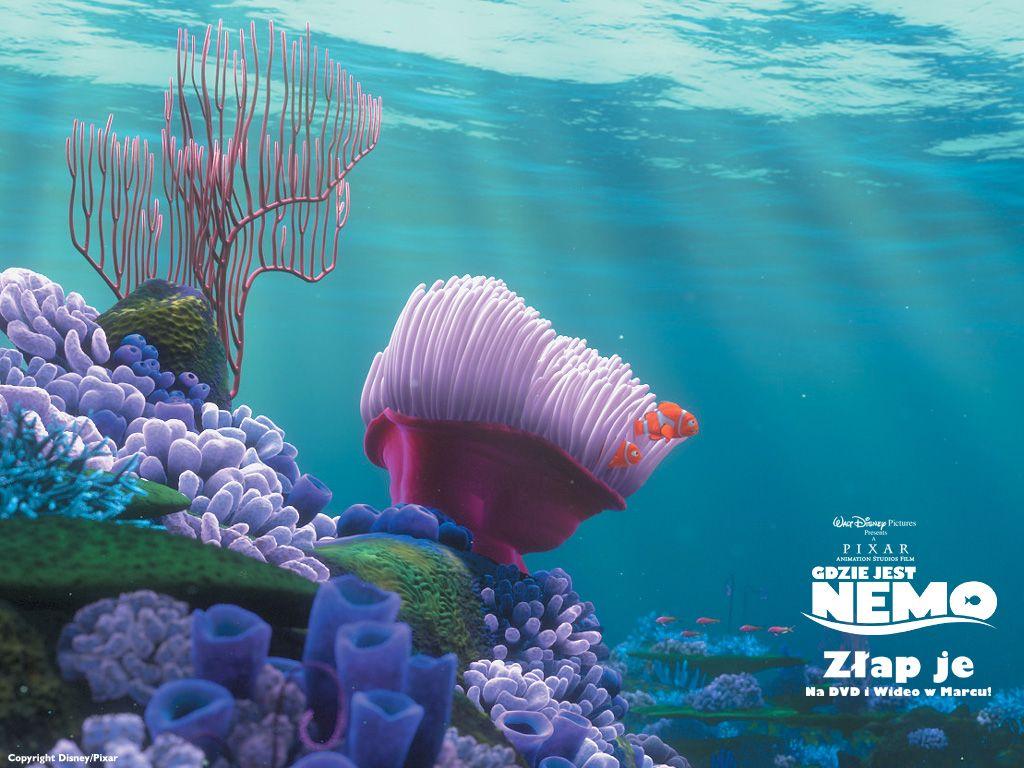 Finding Nemo Cartoon Wallpaper Image for Android